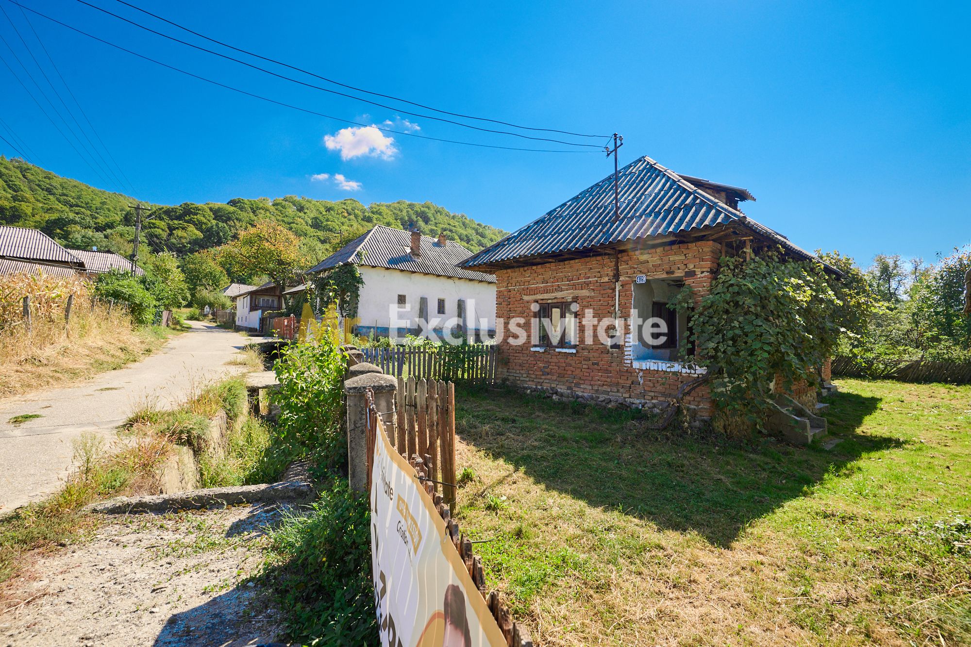 Casa cu teren de 1.200 mp si livada–Badesti, comuna Pietrosani, Arges — fotografia 2