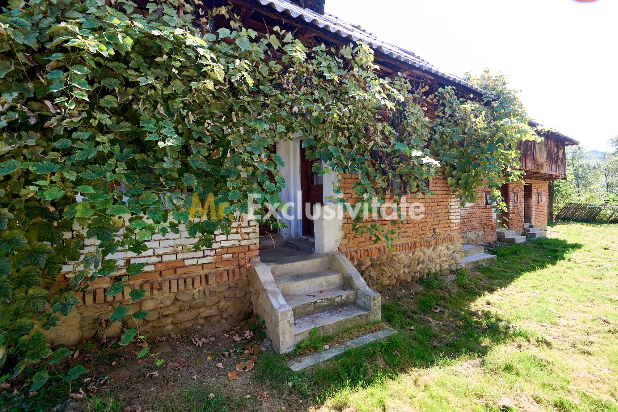 Casa cu teren de 1.200 mp si livada–Badesti, comuna Pietrosani, Arges — fotografia 3