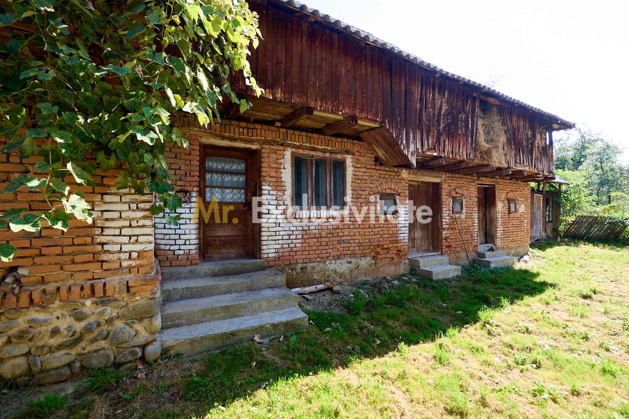 Casa cu teren de 1.200 mp si livada–Badesti, comuna Pietrosani, Arges — fotografia 4