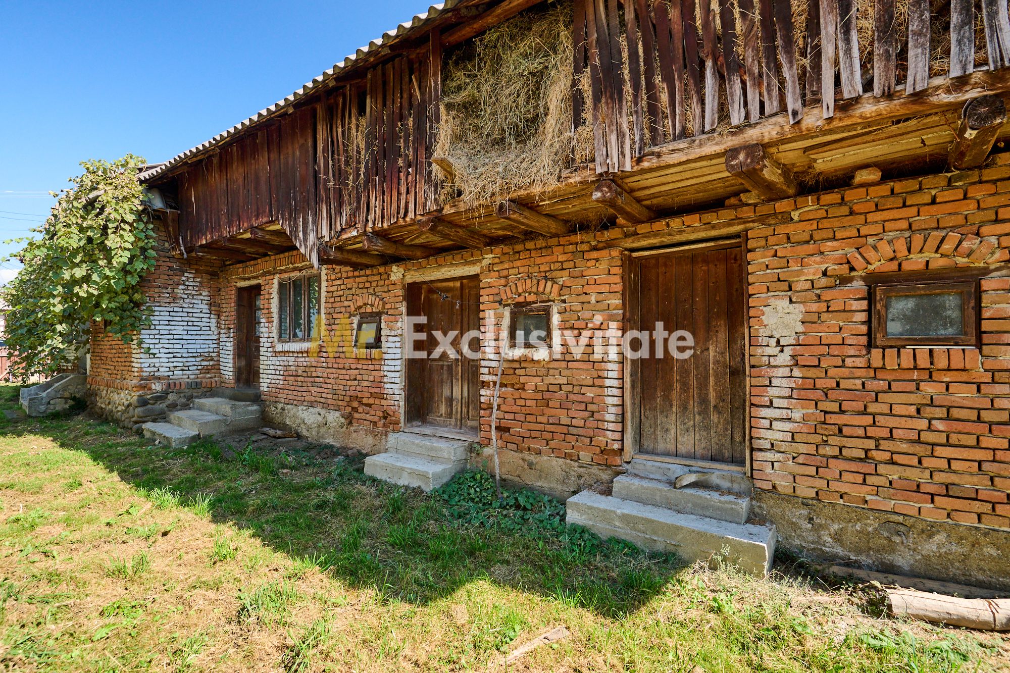 Casa cu teren de 1.200 mp si livada–Badesti, comuna Pietrosani, Arges — fotografia 5
