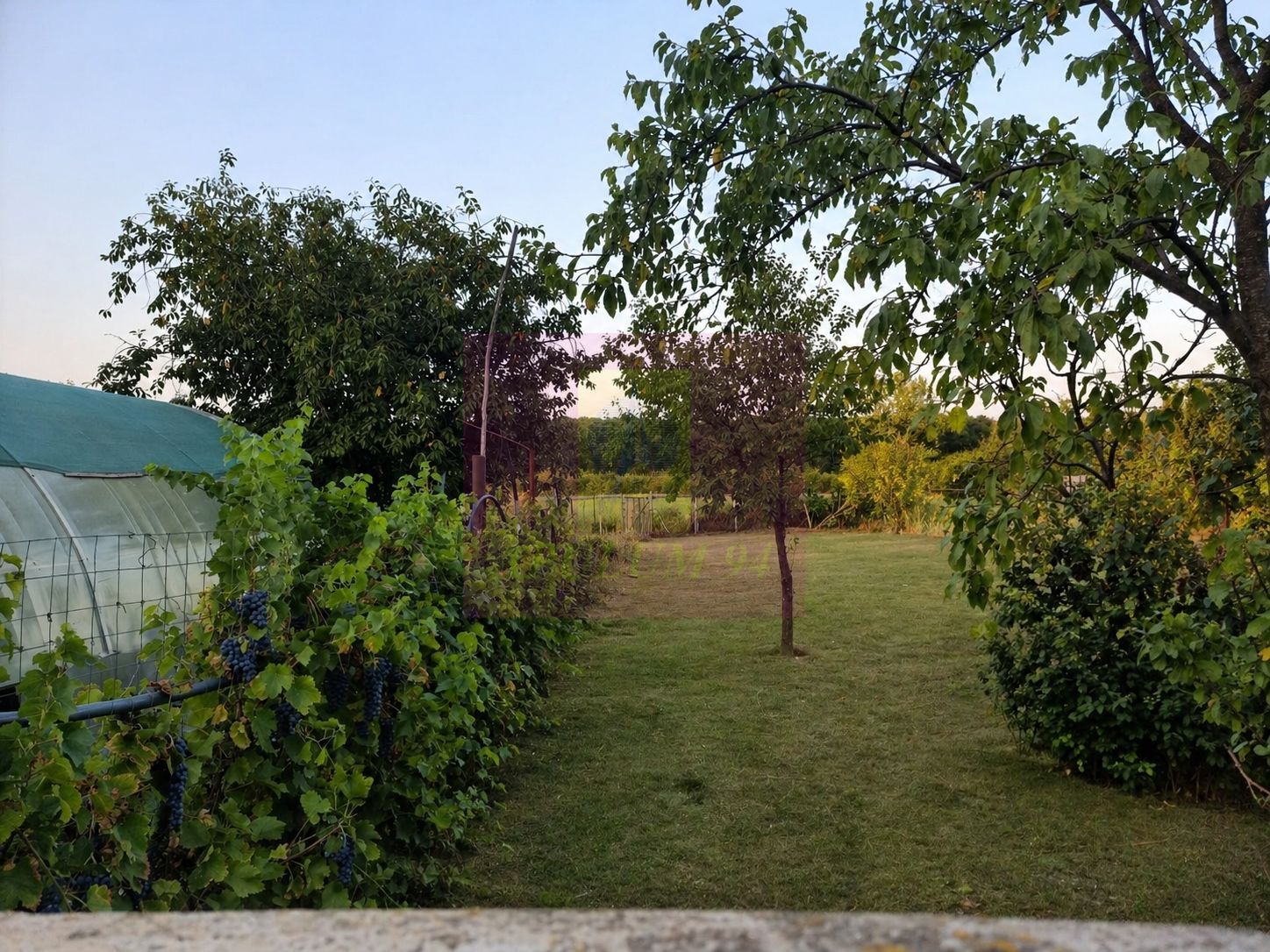GIURGIU - SE VINDE CASA (5 CAM) COM. ROATA DE JOS — fotografia 4