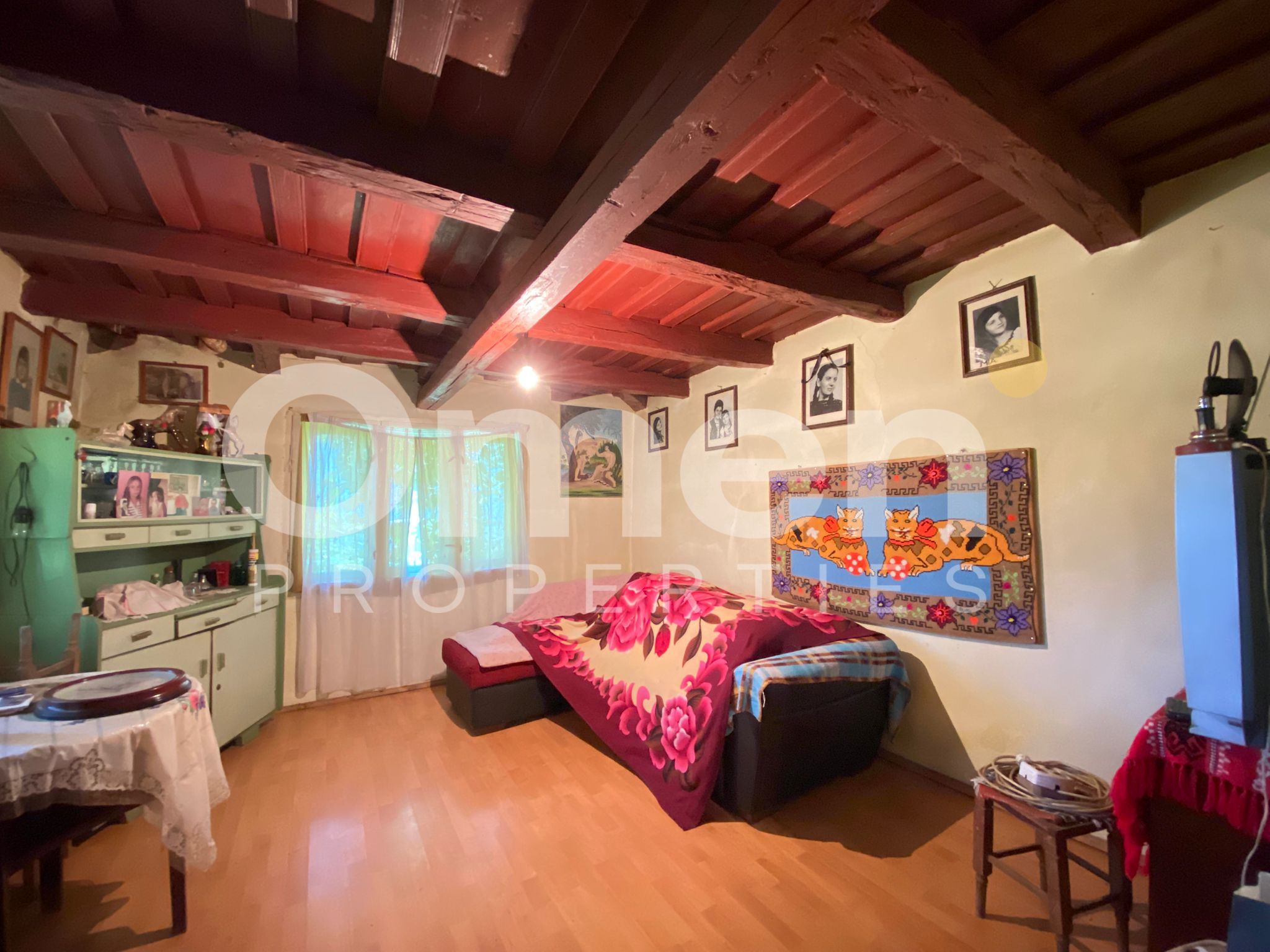 Casa de vanzare in Berinta de 50 mp cu anexa si 22 de ari teren — fotografia 6
