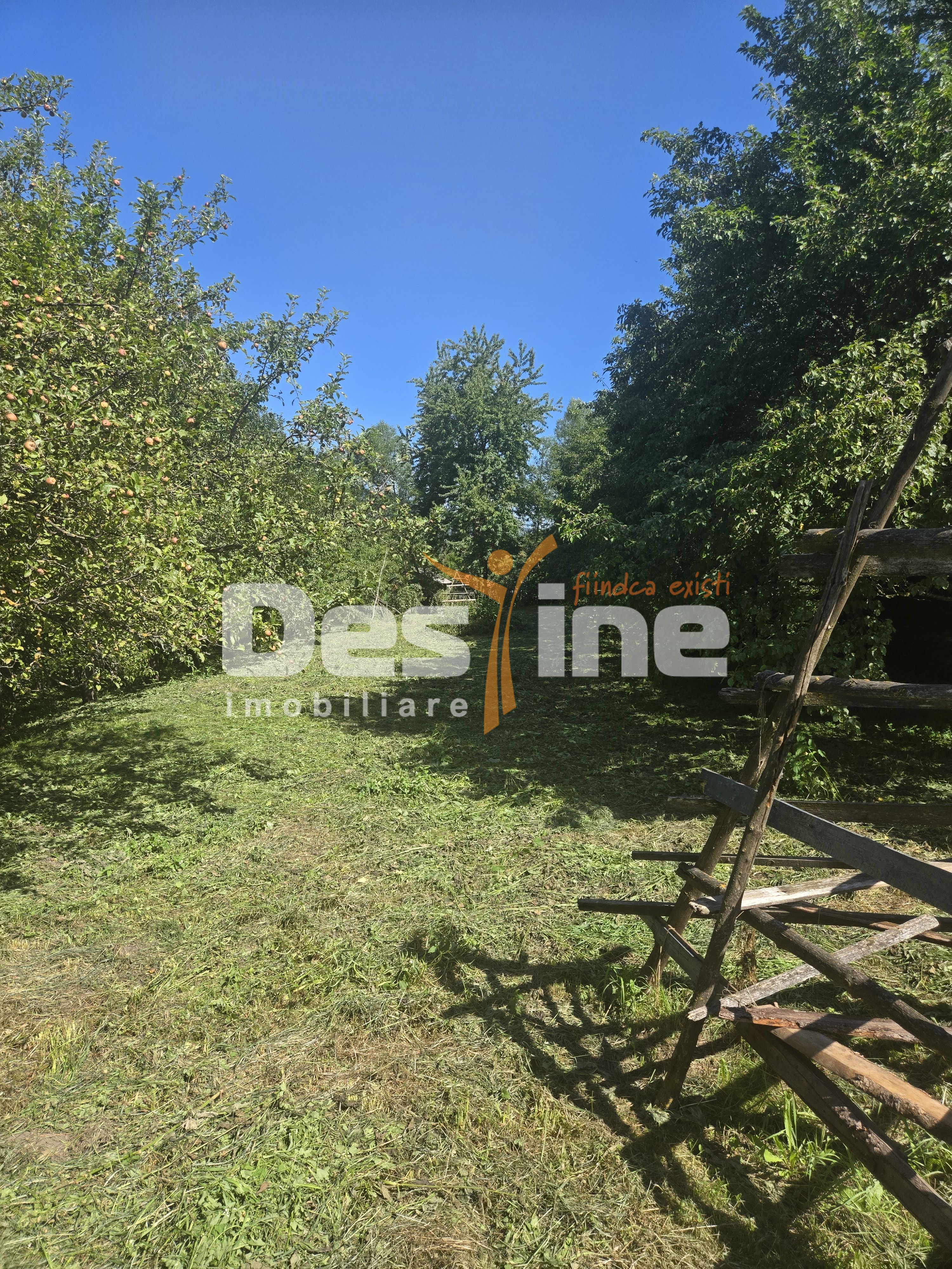 Casa Rustica  cu Gradina Valea Doftanei — fotografia 12