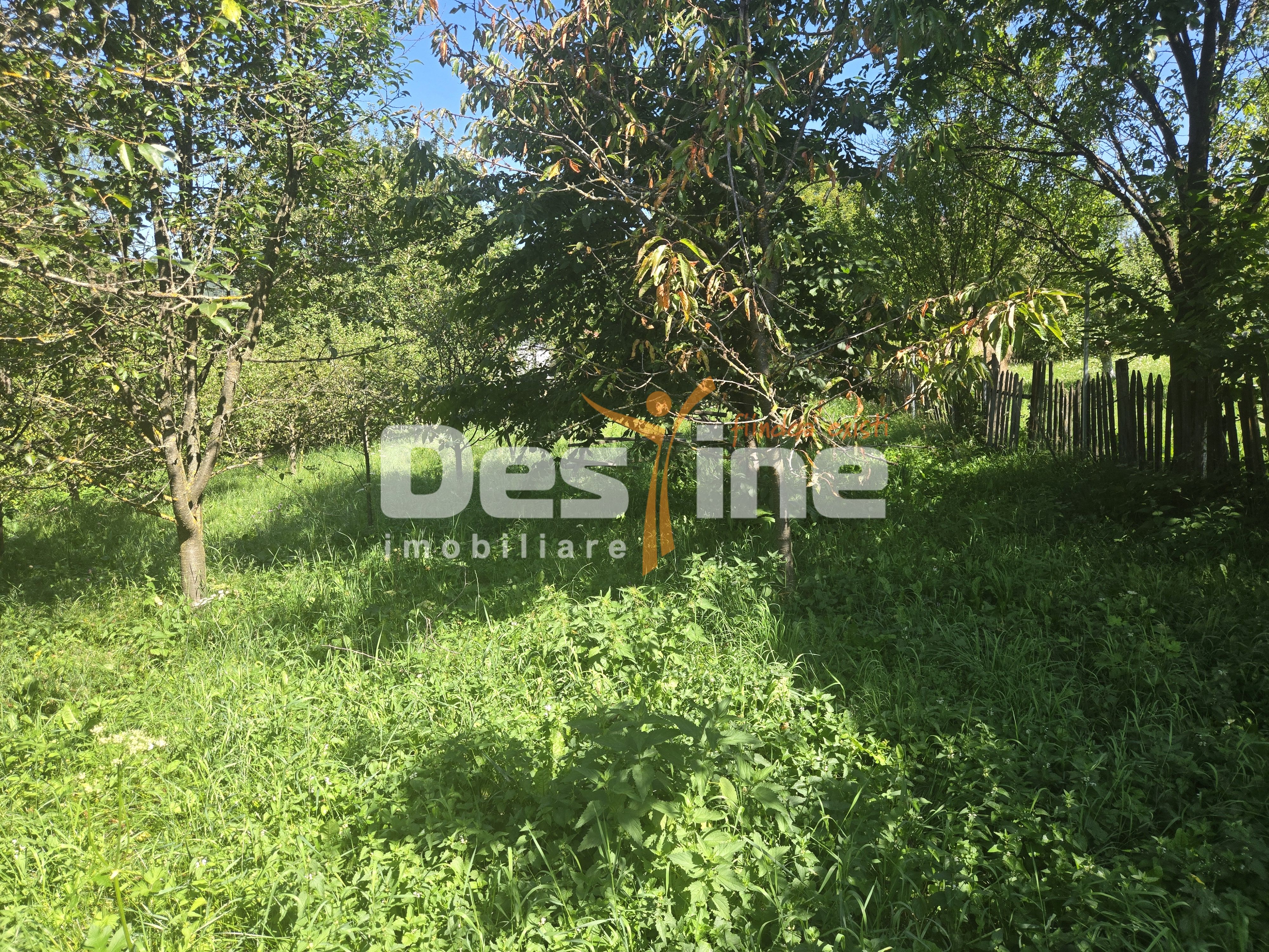 Casa Rustica  cu Gradina Valea Doftanei — fotografia 13