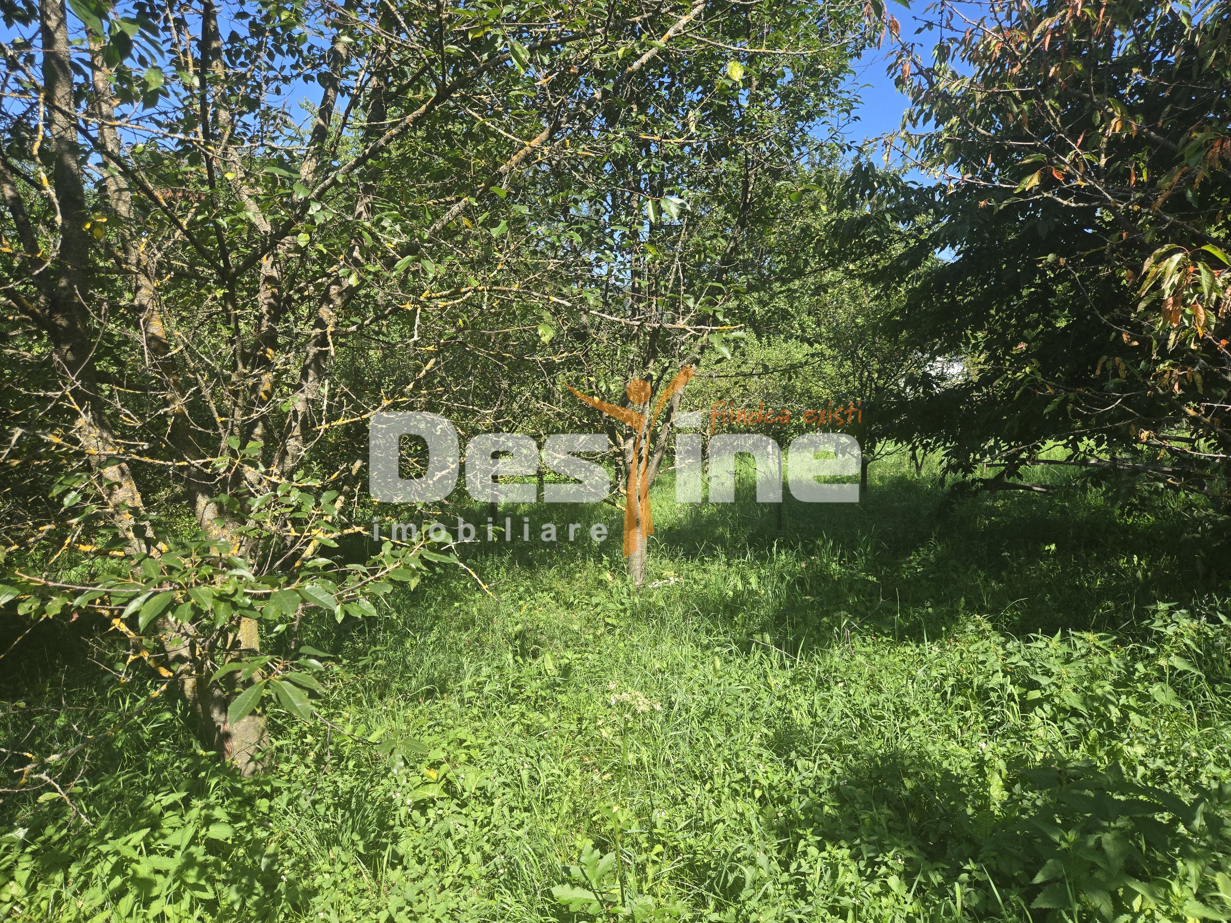 Casa Rustica  cu Gradina Valea Doftanei — fotografia 14