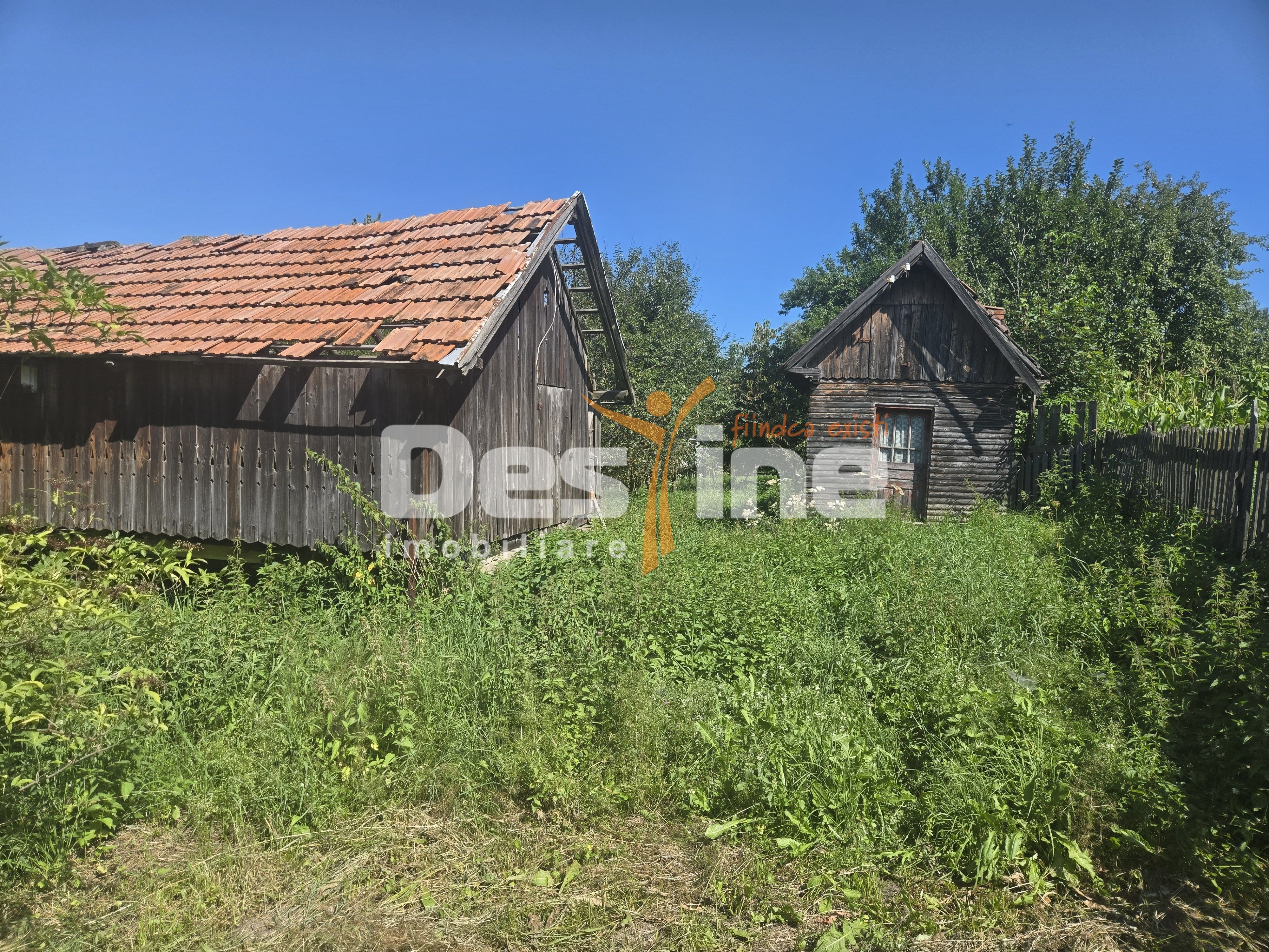 Casa Rustica  cu Gradina Valea Doftanei — fotografia 16