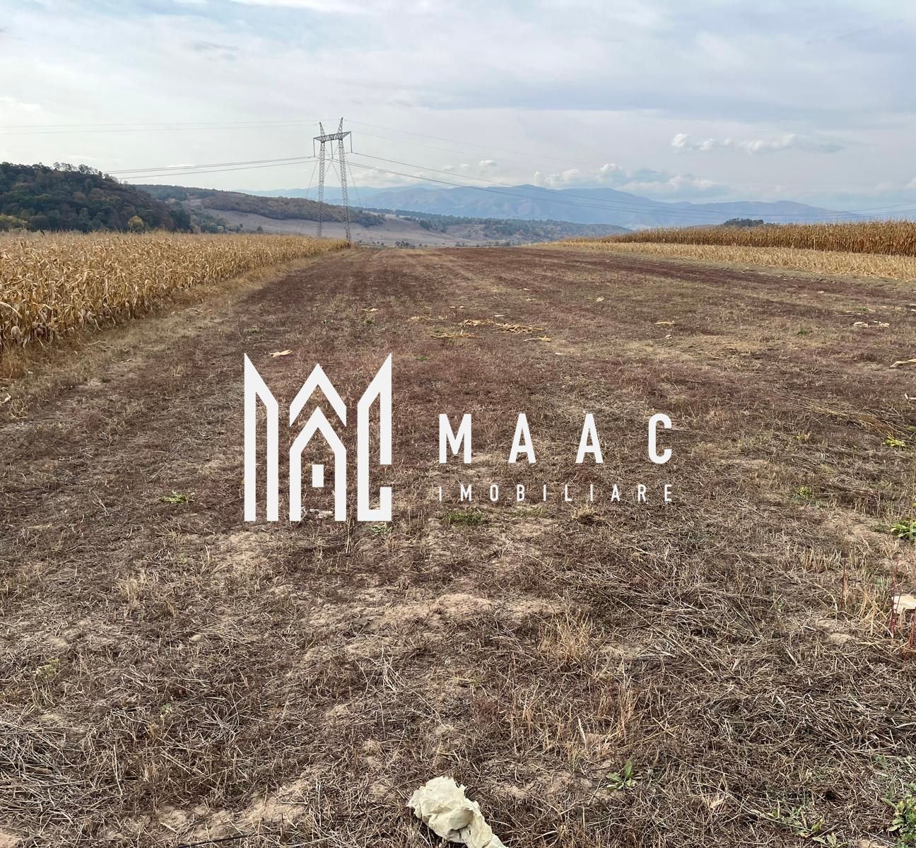 Teren extravilan de vânzare | Daia | 8.000 mp | agricol — fotografia 3
