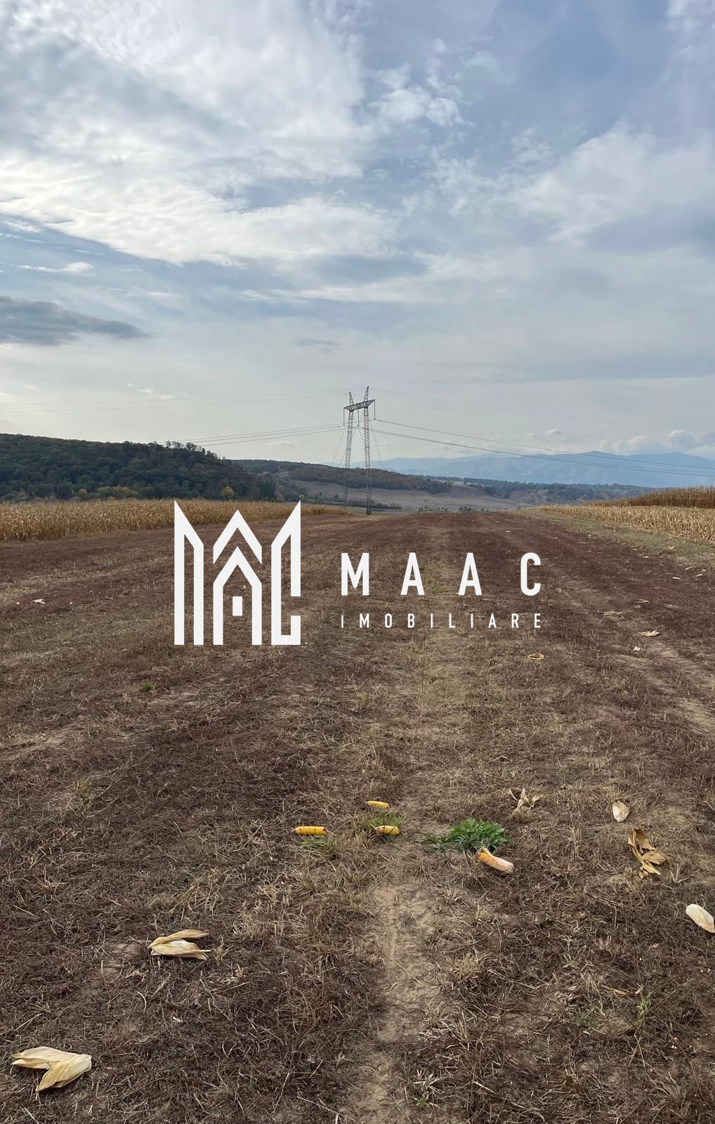Teren extravilan de vânzare | Daia | 8.000 mp | agricol — fotografia 4