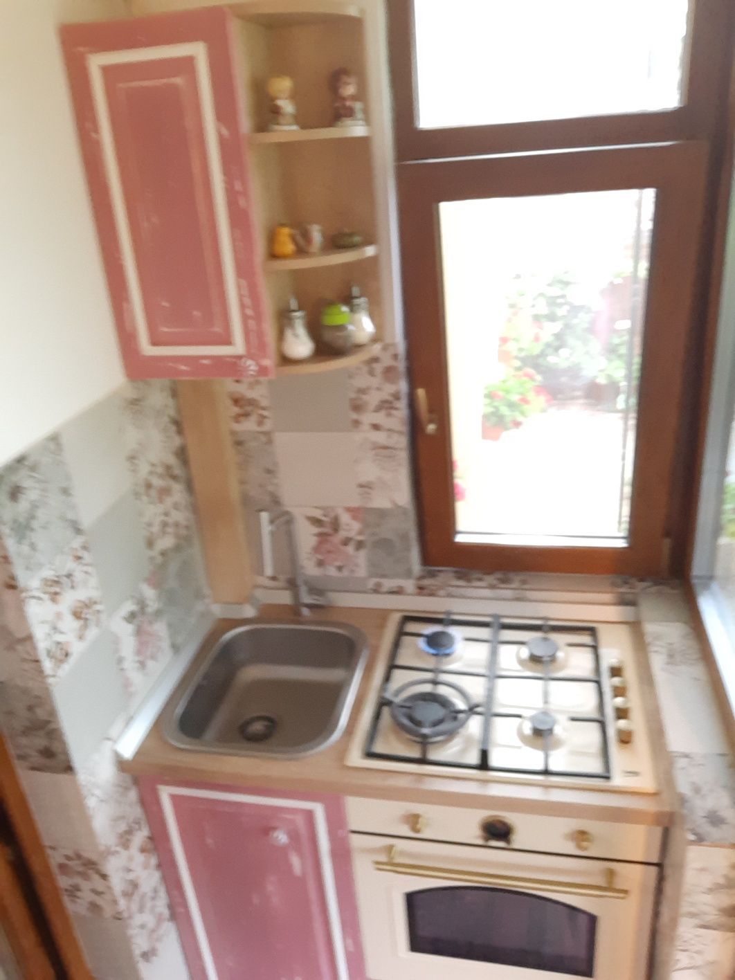 Penthouse cu grădină, beci, magazii,  parcare - zona Bucium, — fotografia 3