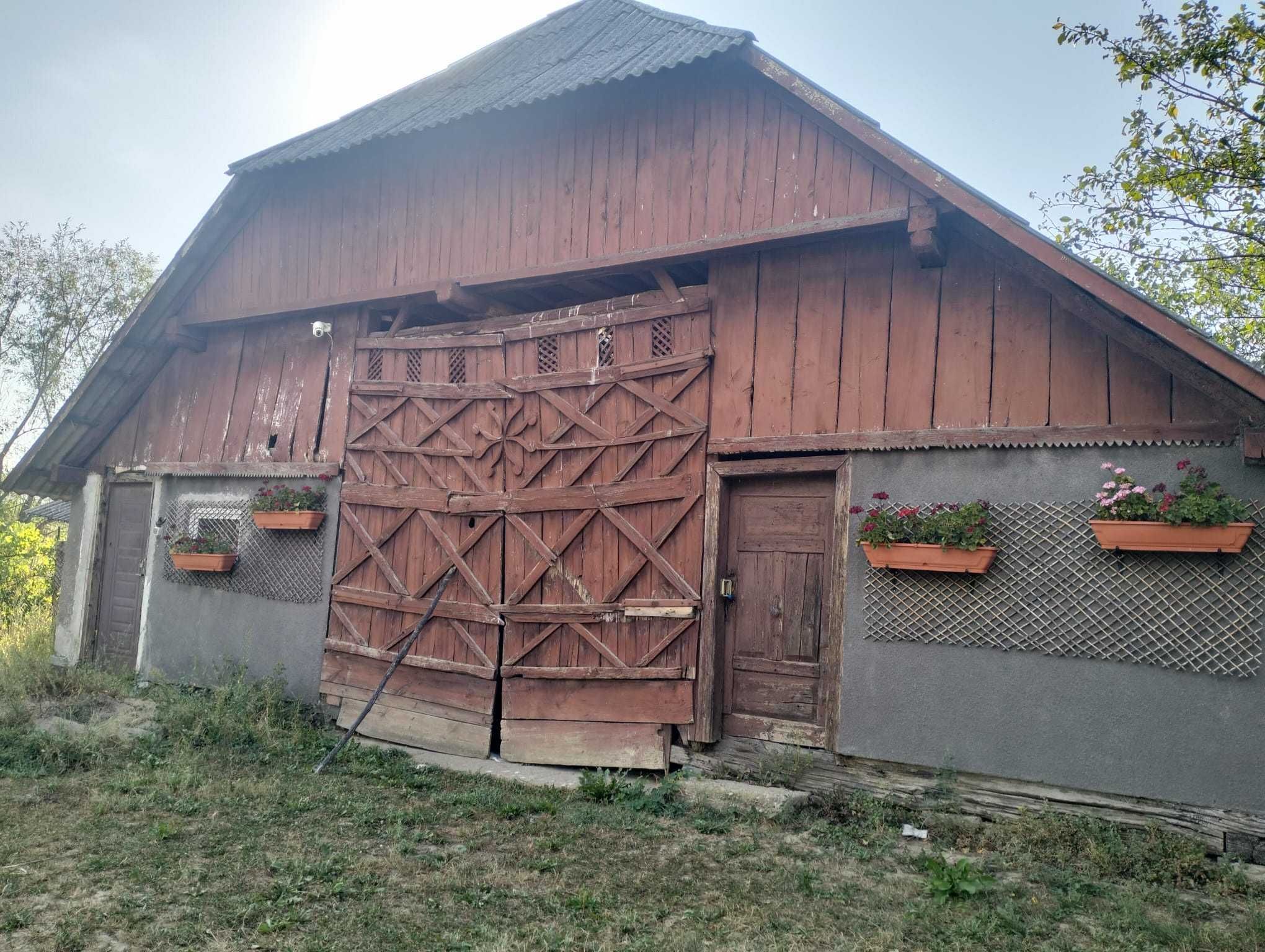 Casa 81mp, teren 81 ari, anexe, pomărie tânără de meri de vânzare — fotografia 6