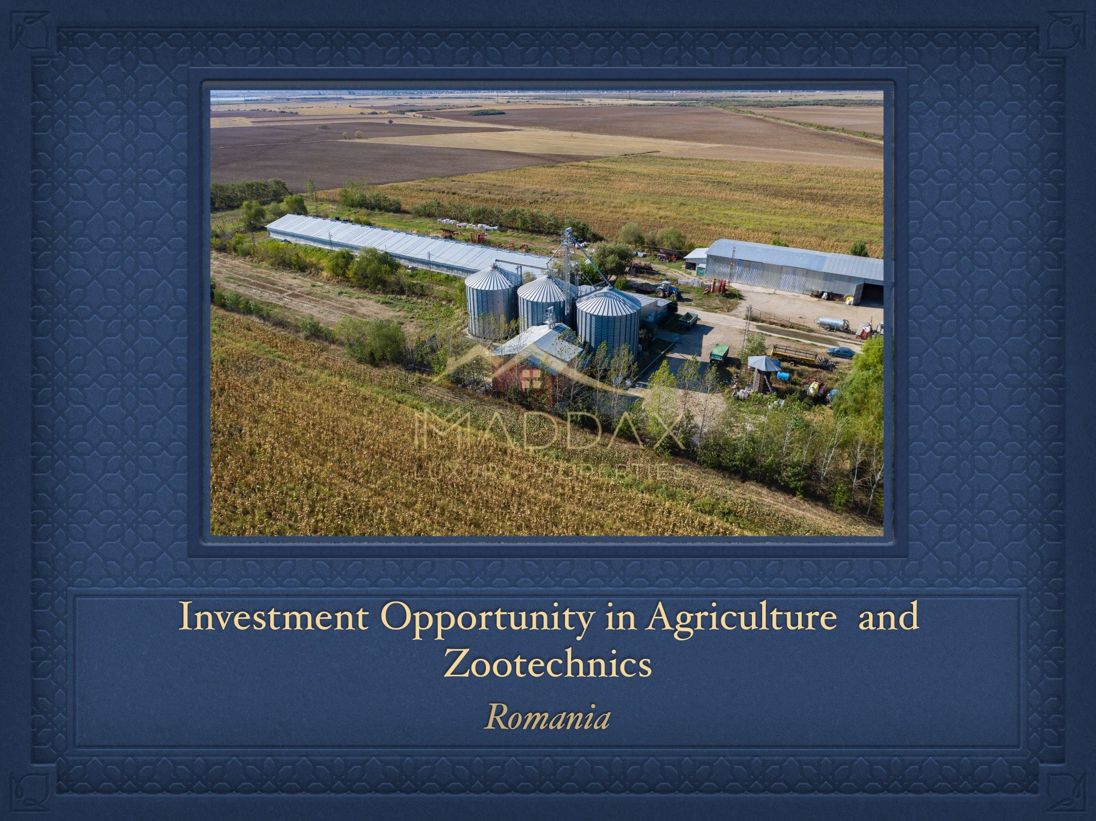 Investment Opportunity in Agriculture and Zootechnics 1000 ha near Targoviste
