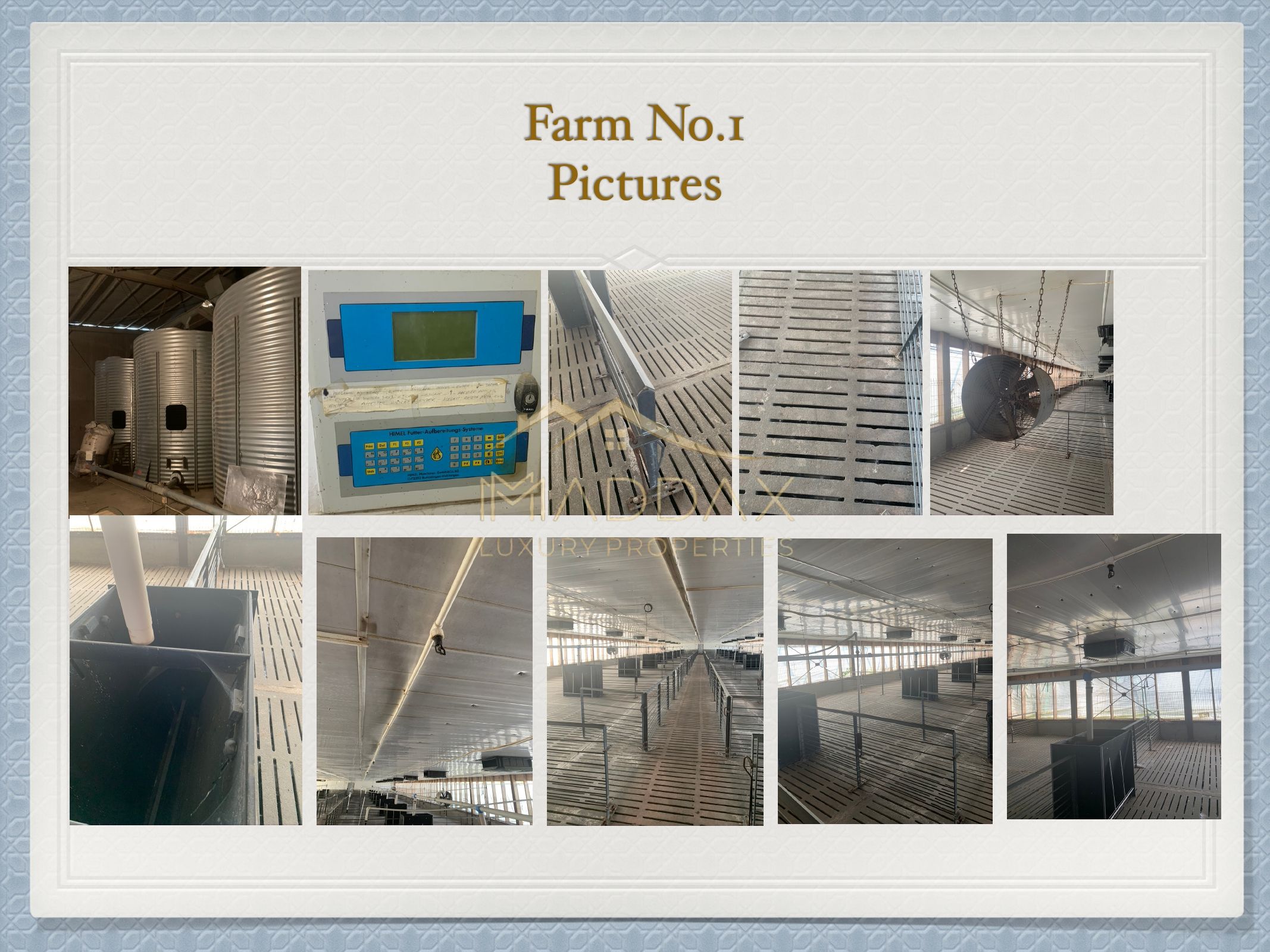 Investment Opportunity in Agriculture and Zootechnics 1000 ha near Targoviste — fotografia 4