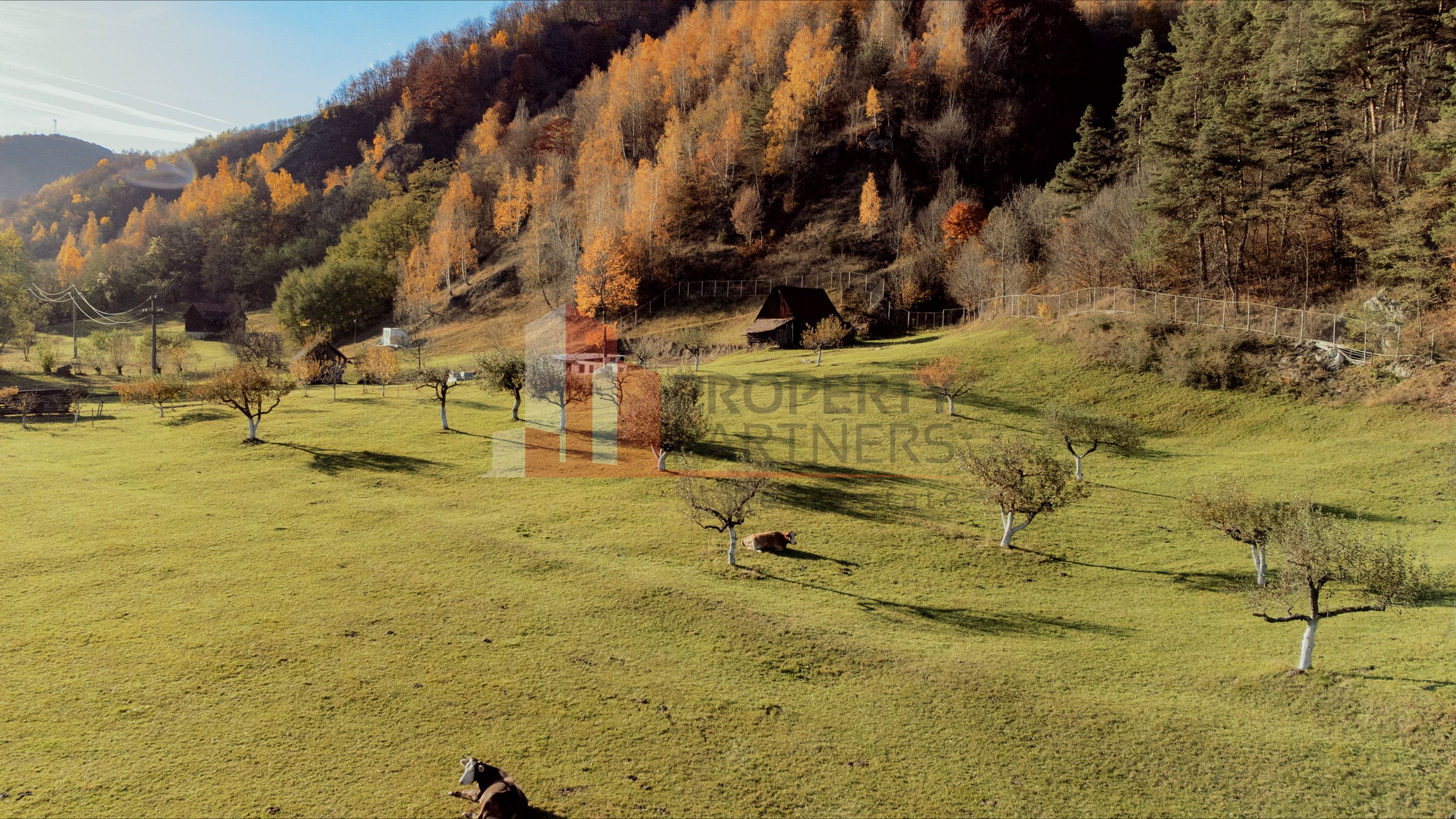 Teren 15.941 mp Moieciu | parcelabil | aproape de Castelul Bran — fotografia 6