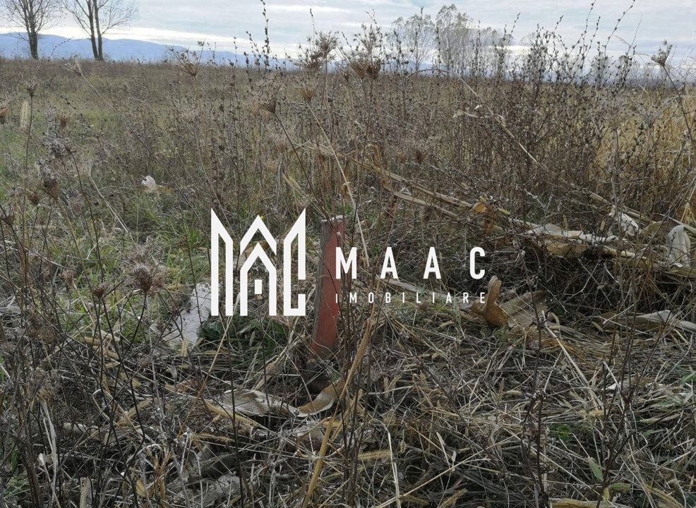 Teren intravilan I Zona Calea Surii Mici- Magnolia — fotografia 3