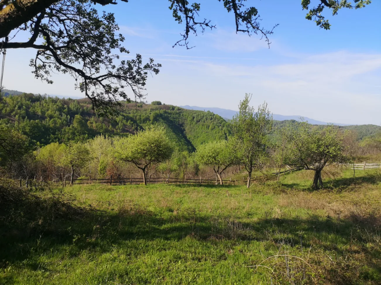Casă la țară 3 camere de vânzare în Bulzestii De Sus, Tomnatec- HD — fotografia 2