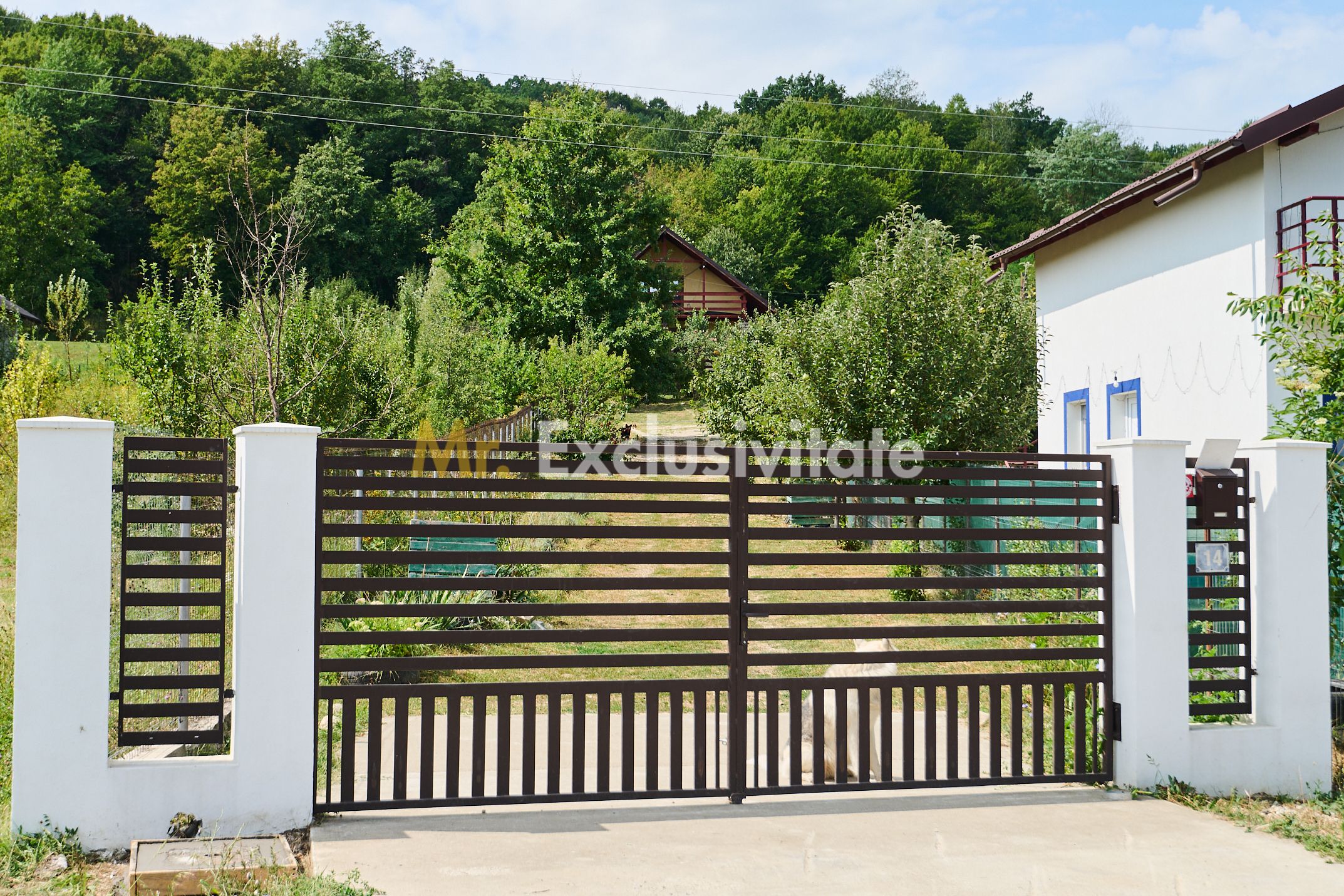 Doua CASE in aceeasi curte–BABANA, ARGEȘ | 1.485 MP TEREN