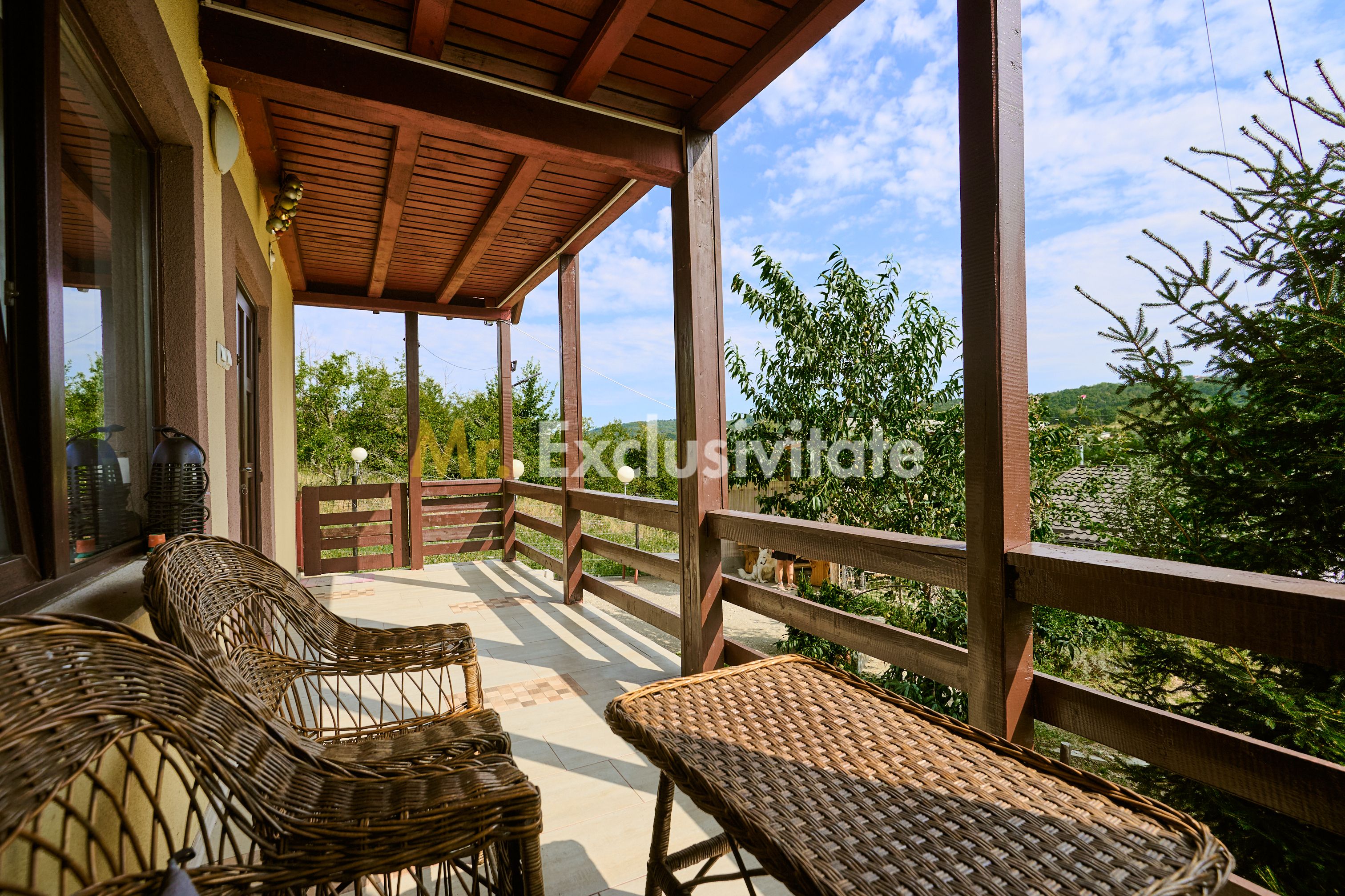Doua CASE in aceeasi curte–BABANA, ARGEȘ | 1.485 MP TEREN — fotografia 19