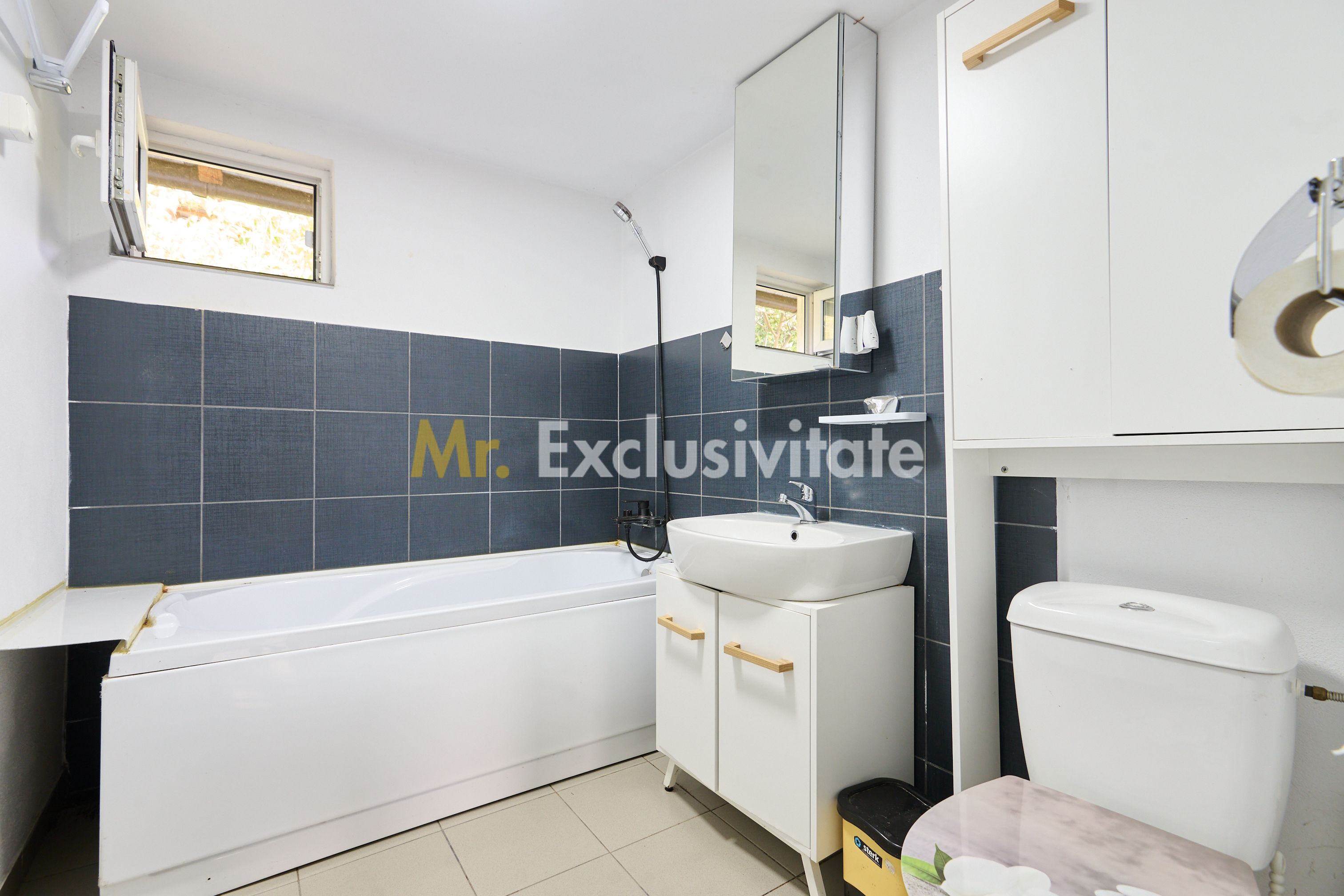 Doua CASE in aceeasi curte–BABANA, ARGEȘ | 1.485 MP TEREN — fotografia 9