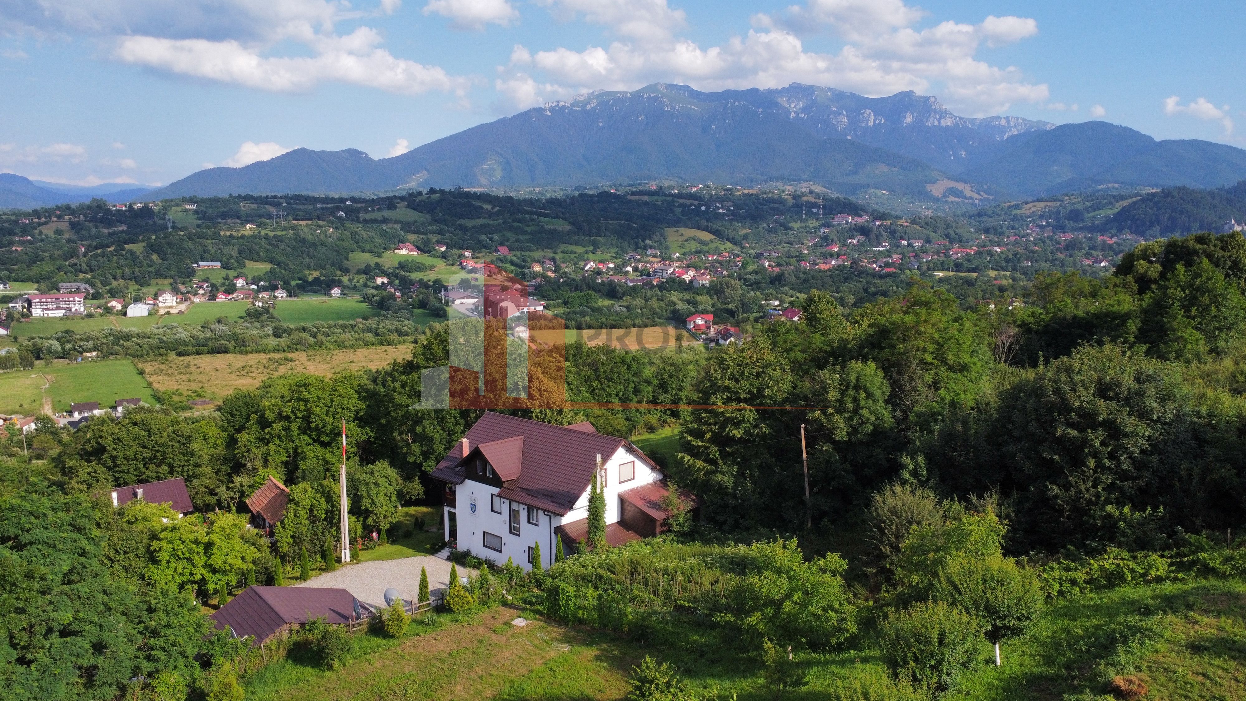 Vilă 340 mp Bran | Teren 5500 mp | 6 dormitoare cu băi proprii — fotografia 5