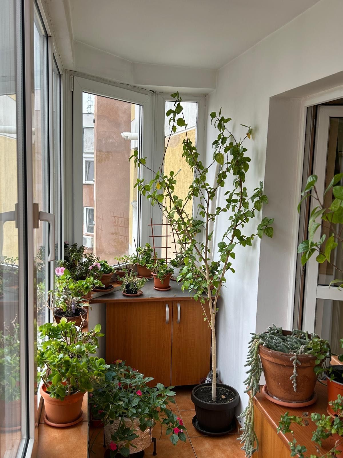 Apartament de vânzare str. Nerva Traian lângă școala 81 — fotografia 6