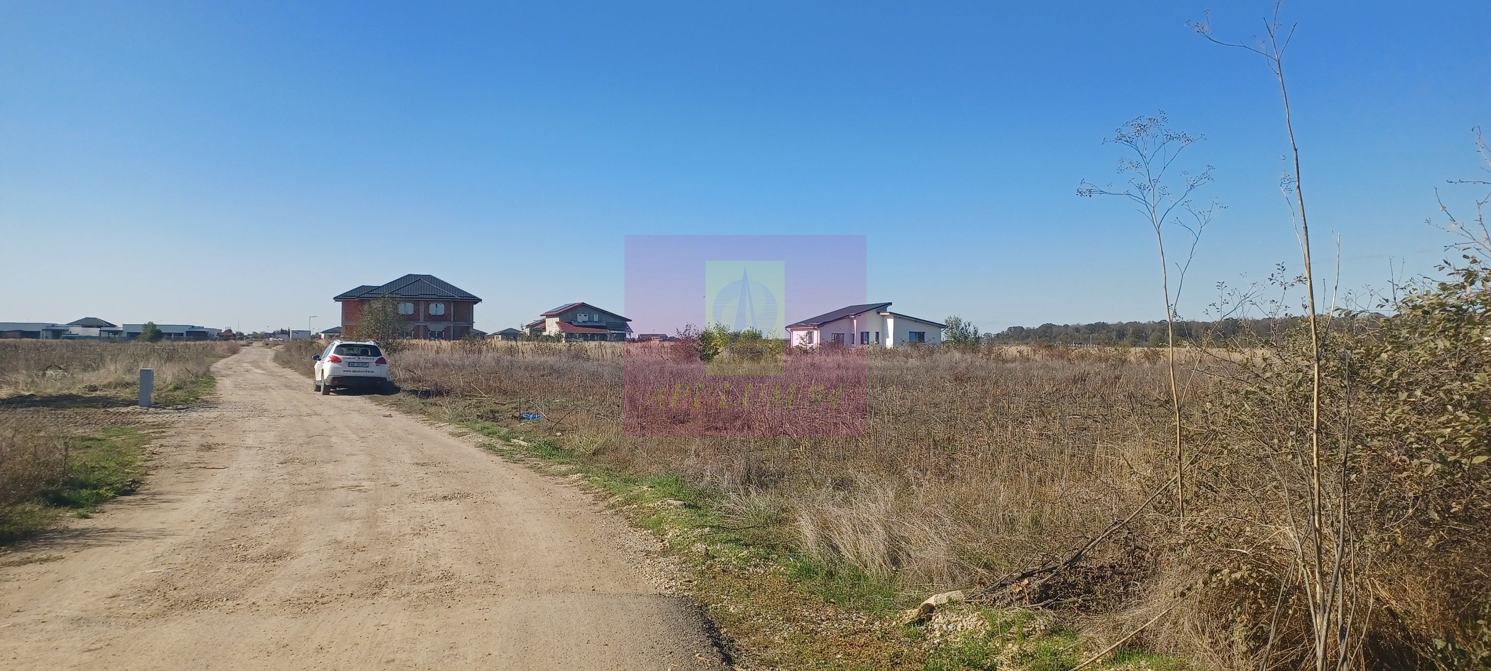 Săbăreni, teren rezidential 6290 mp, cu 52m FS, utilitati in apropiere — fotografia 4