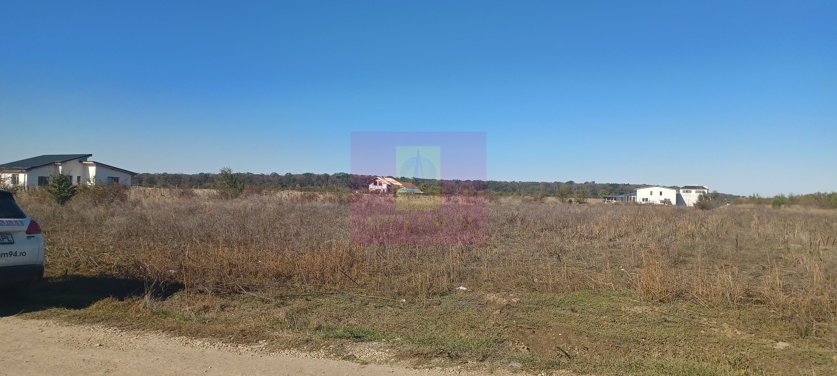 Săbăreni, teren rezidential 6290 mp, cu 52m FS, utilitati in apropiere — fotografia 5