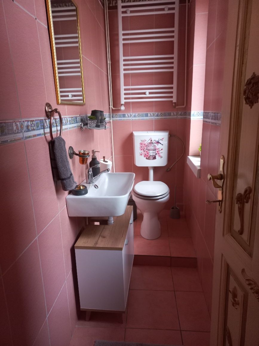 Apartament in vila Gradina Icoanei — fotografia 4