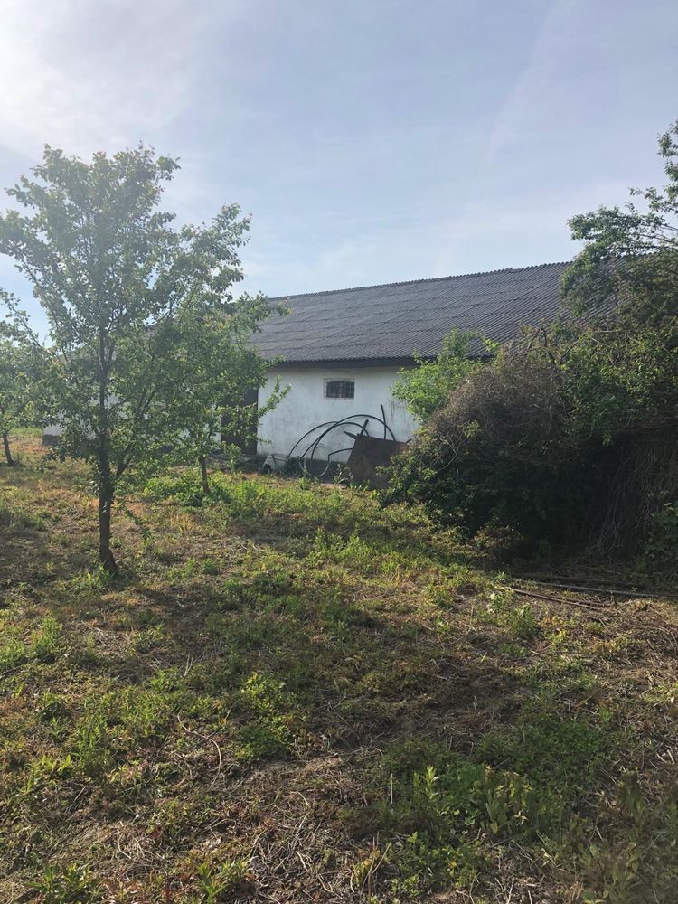 Casa de vanzare in loc. Crucisor — fotografia 5