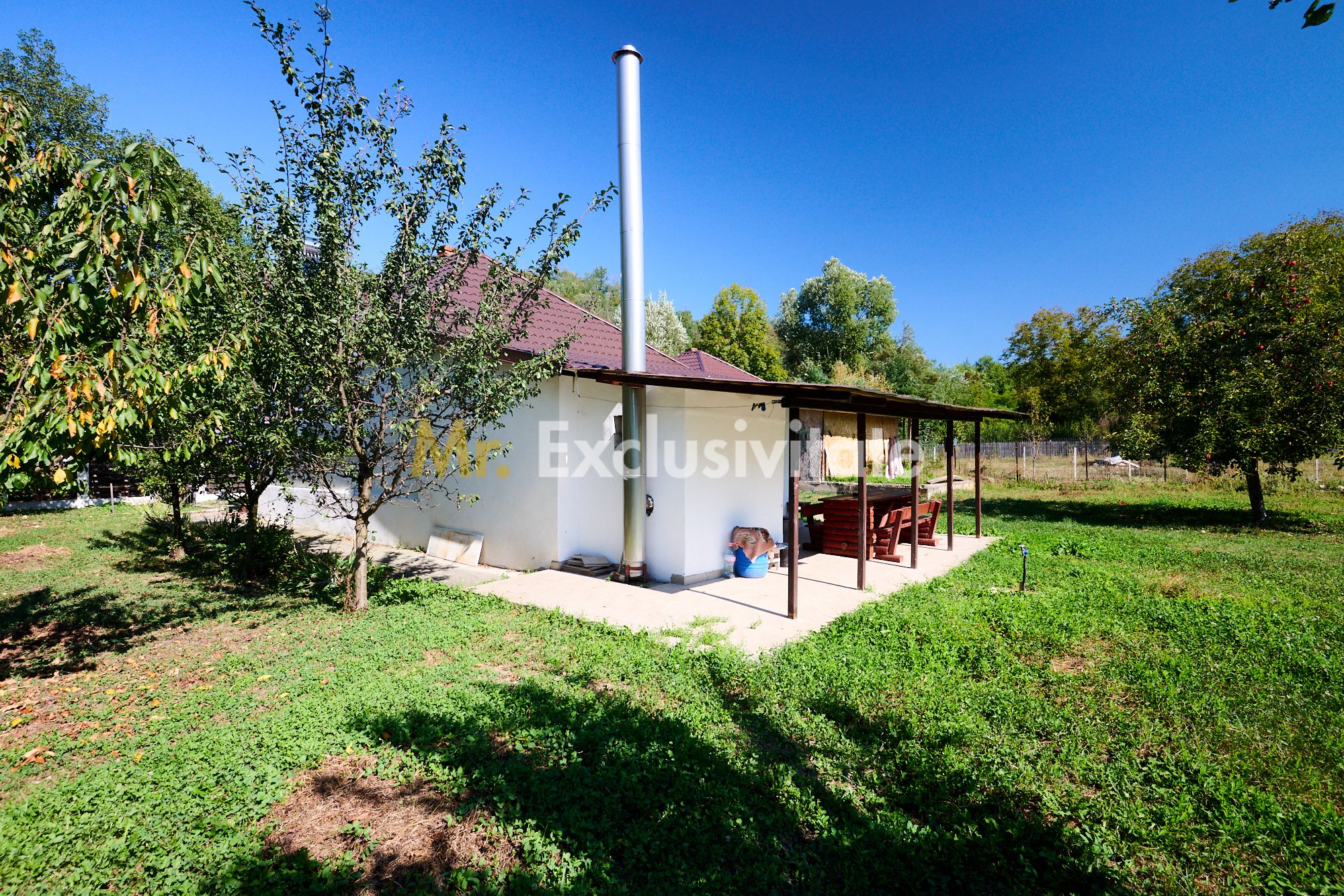 Proprietate deosebita cu doua case si teren generos – Cosesti, Arges — fotografia 3