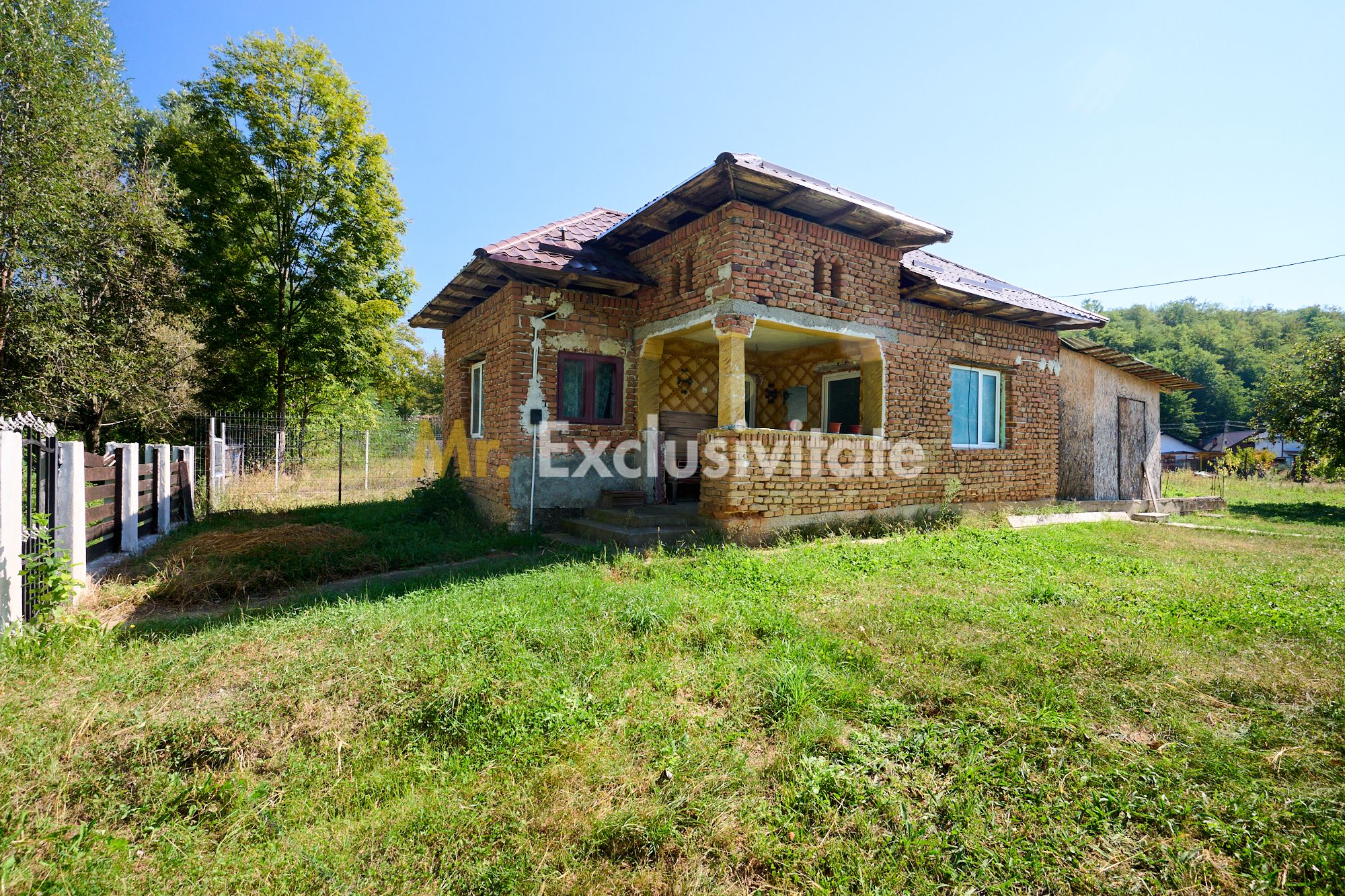Proprietate deosebita cu doua case si teren generos – Cosesti, Arges — fotografia 5