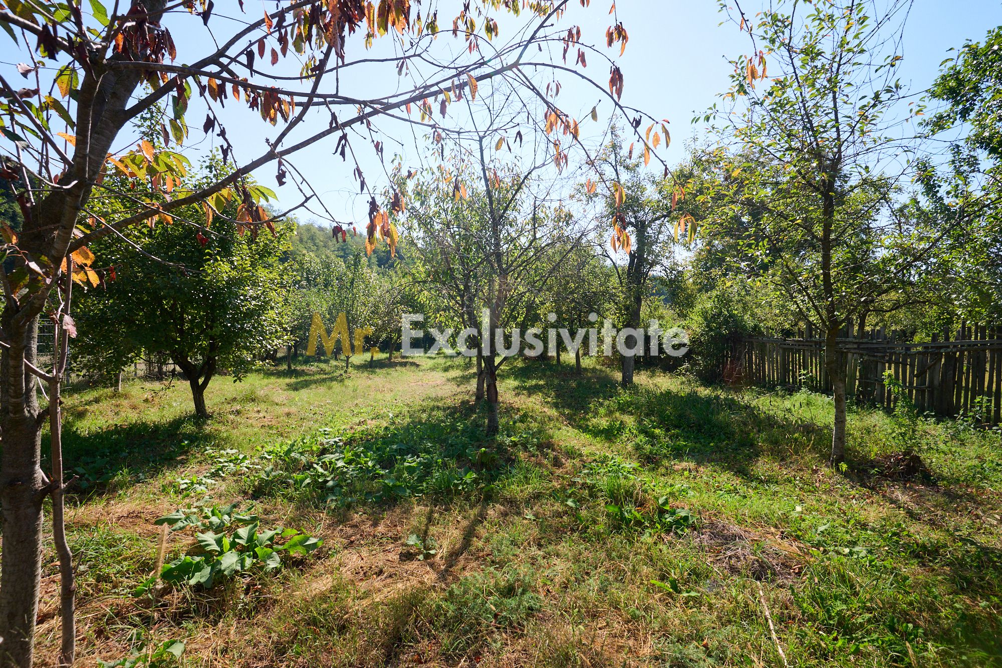 Proprietate deosebita cu doua case si teren generos – Cosesti, Arges — fotografia 8