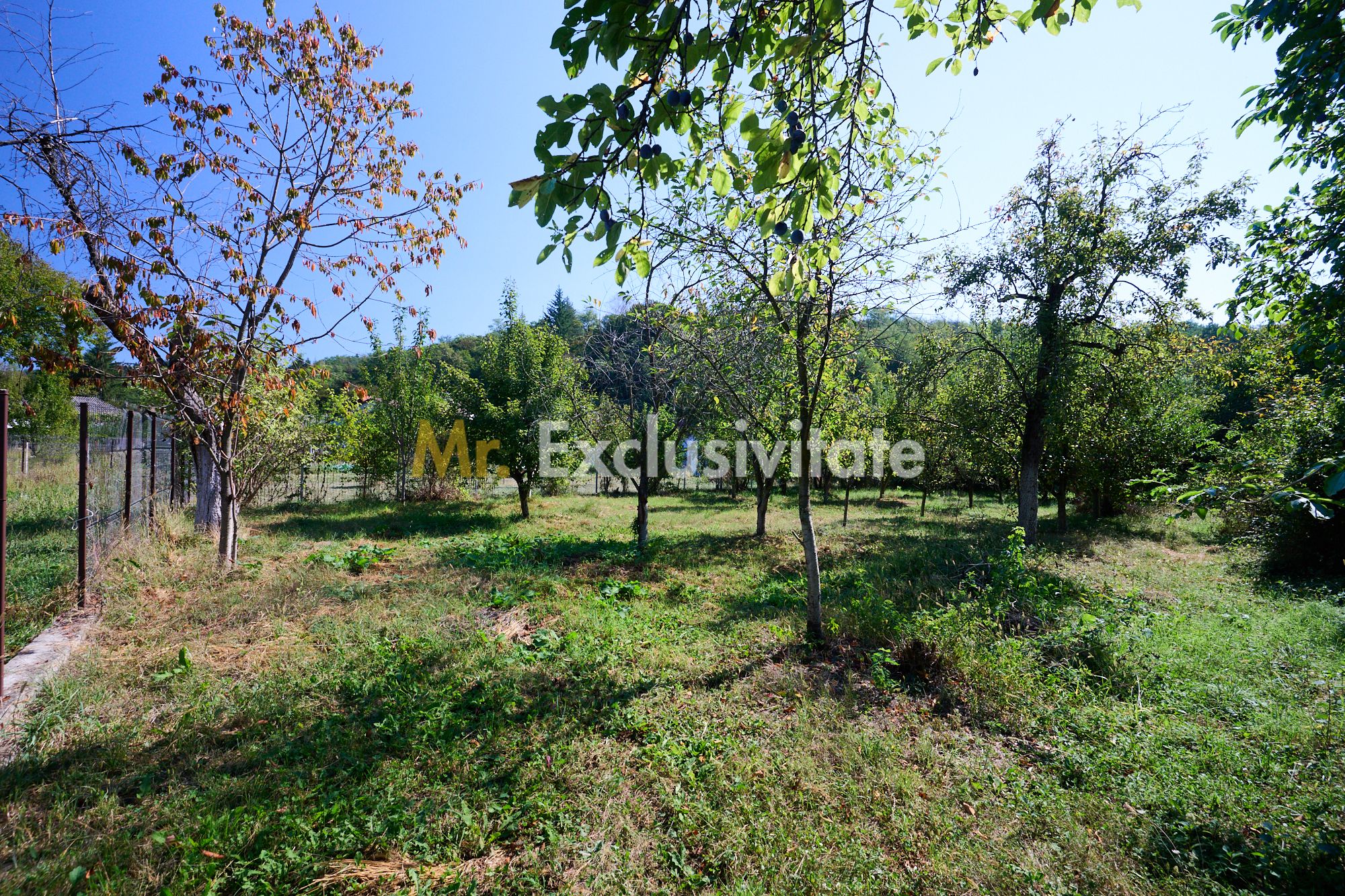 Proprietate deosebita cu doua case si teren generos – Cosesti, Arges — fotografia 9
