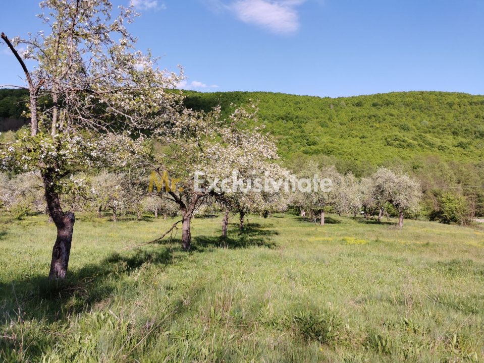 Teren 680mp Budeasa Mica, AG — fotografia 7