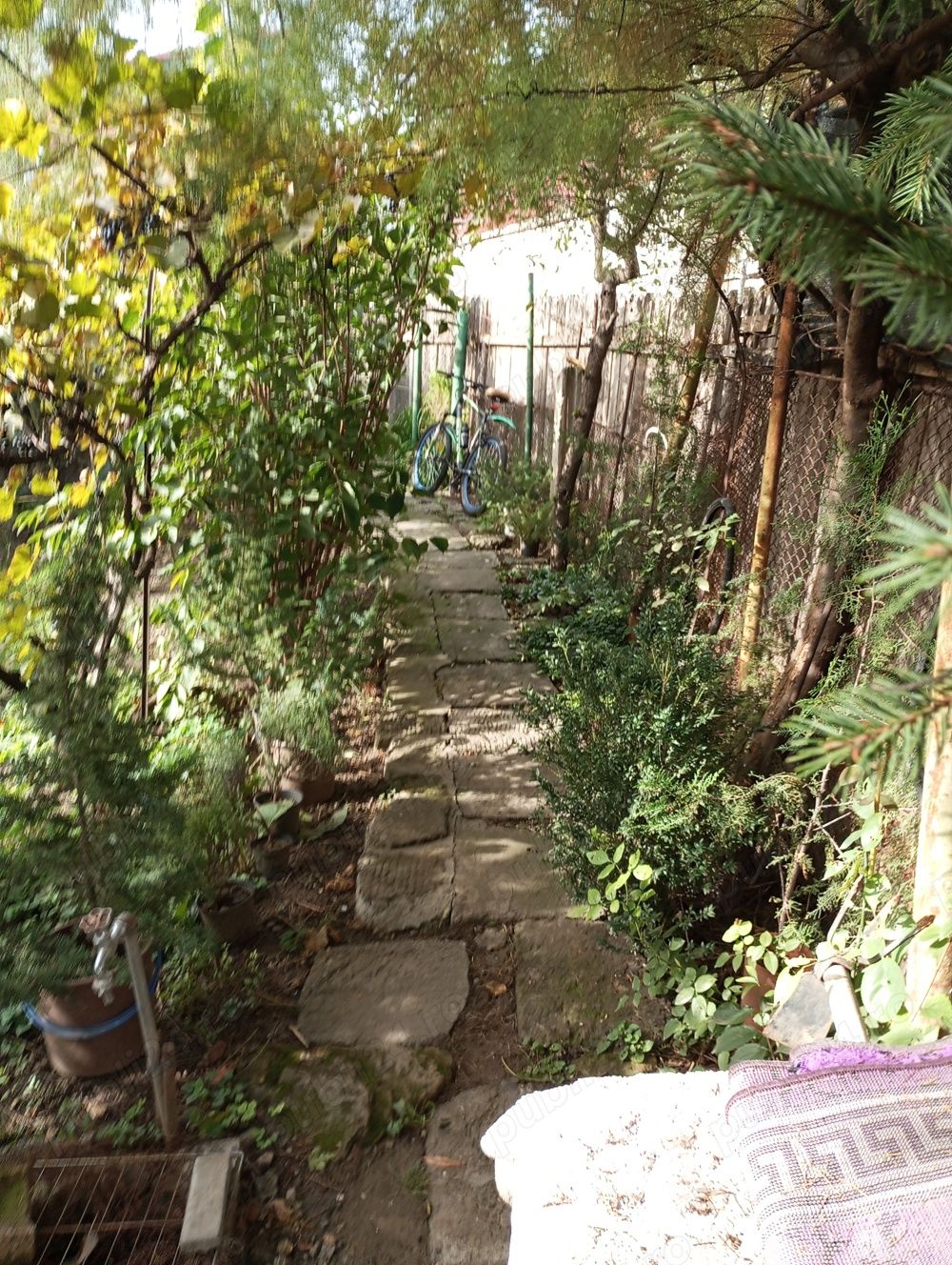 Casă și teren zonă ultracentrală,560 000 euro — fotografia 3