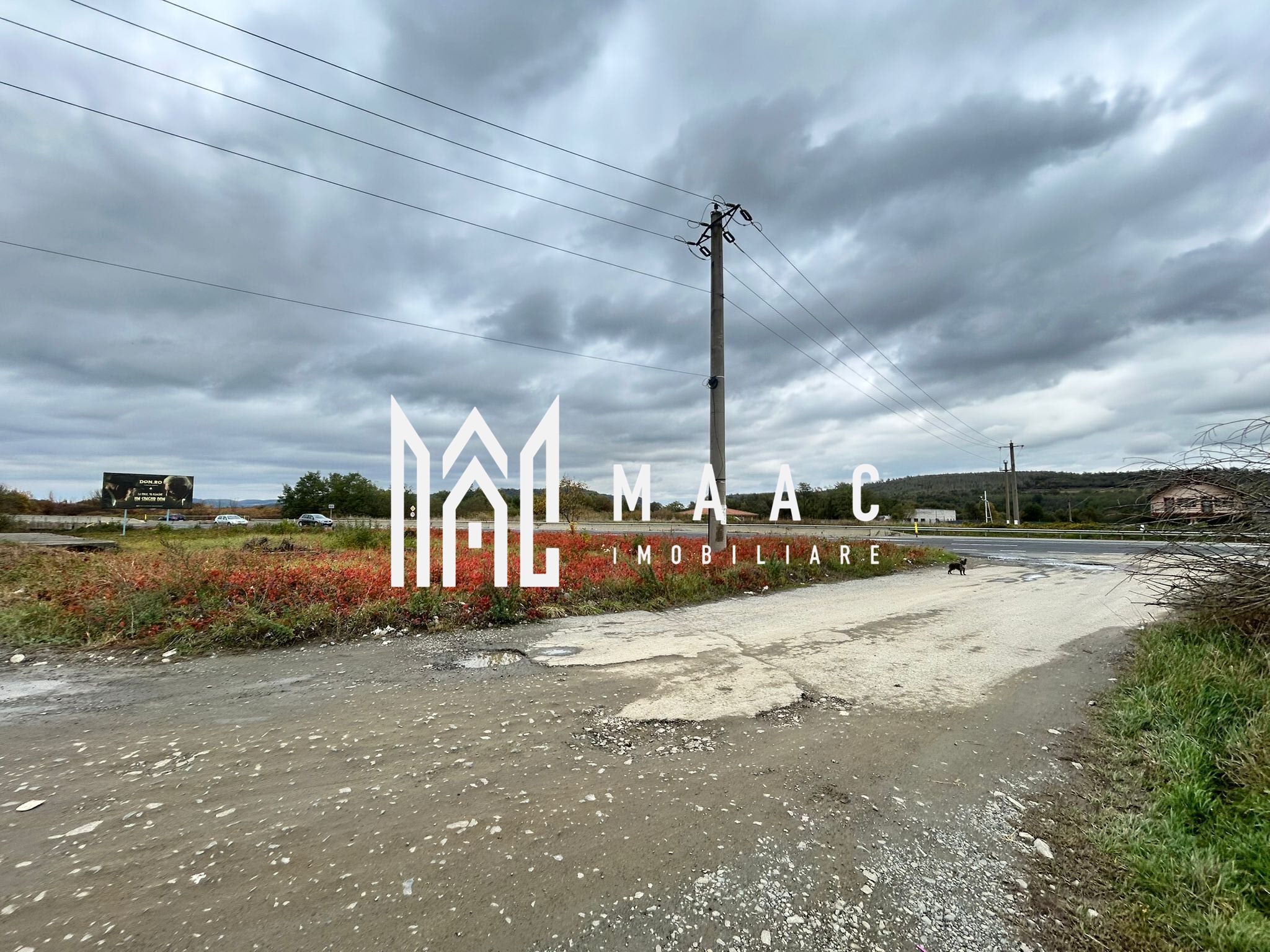 Teren | 3700 mp | Deschidere la DN | Intrare Vestem – Sibiu — fotografia 4