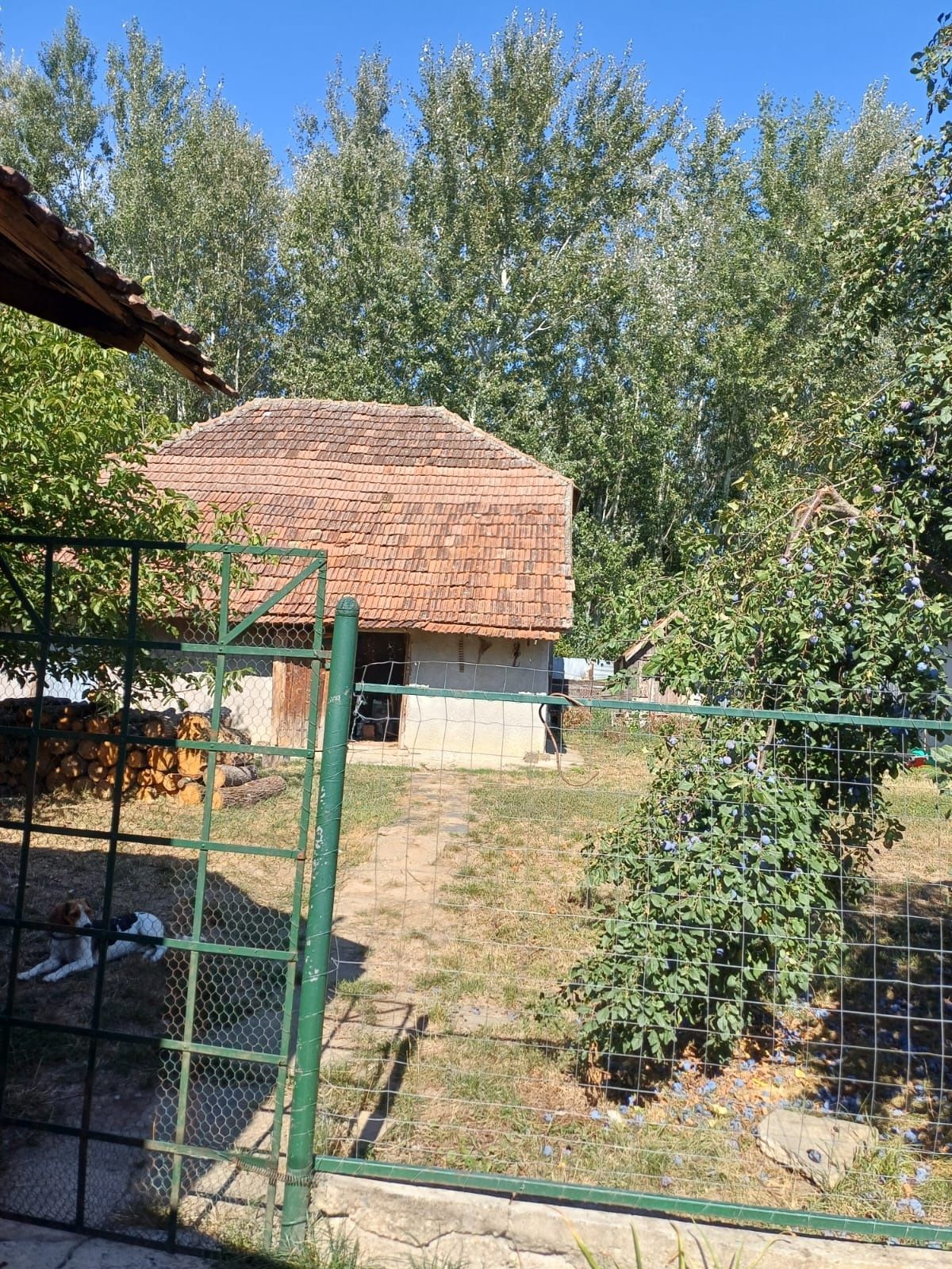 Casă de  vânzare  în Beltiug — fotografia 3