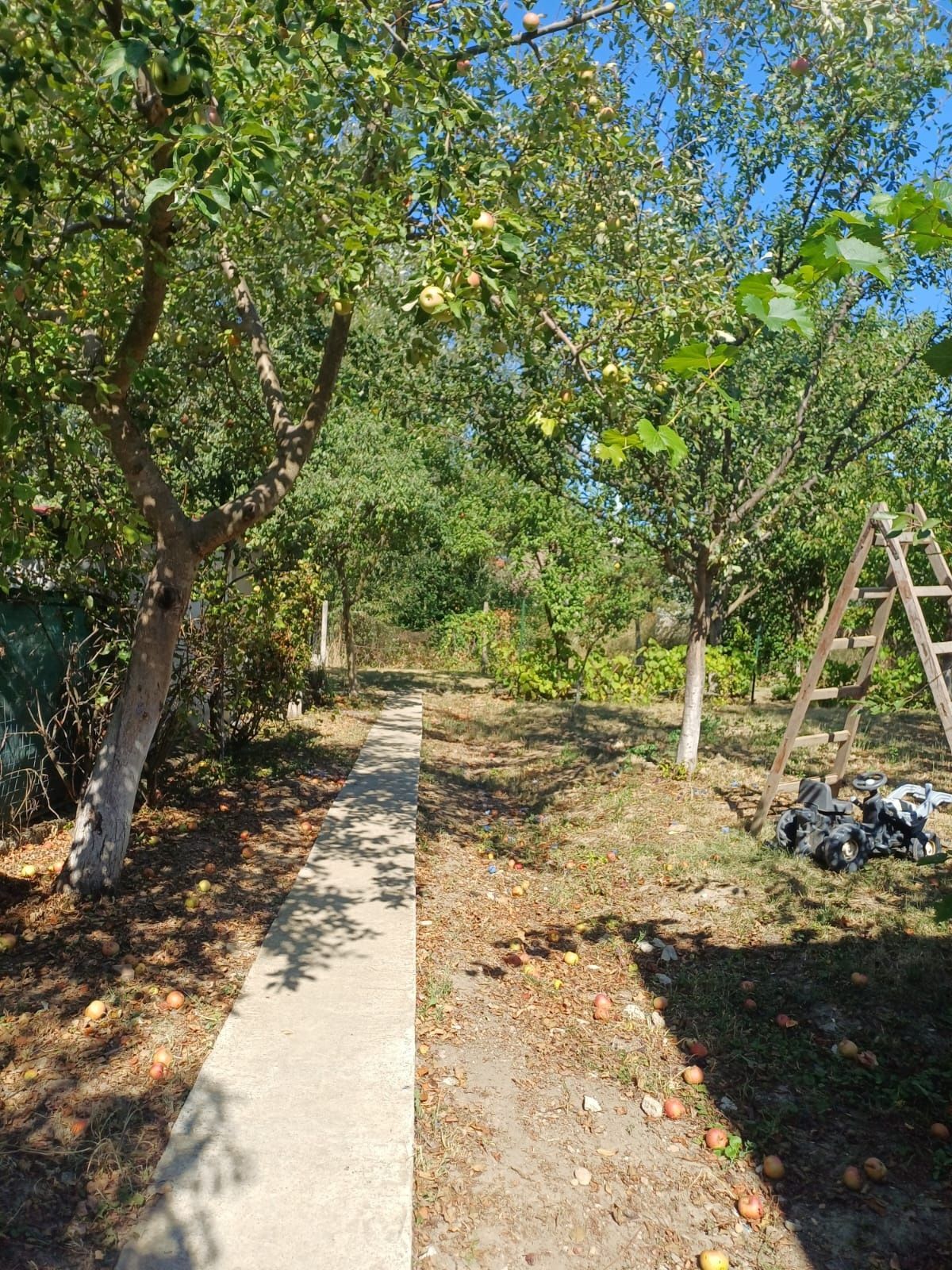 Casă de  vânzare  în Beltiug — fotografia 4