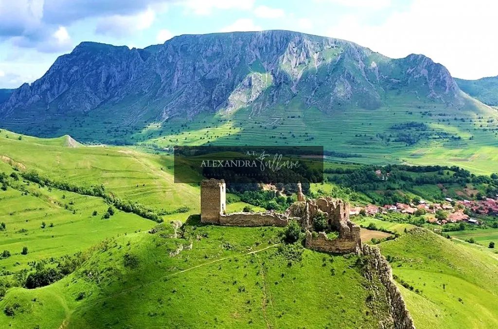 Teren de vanzare – Rimetea, Alba | 9000 mp