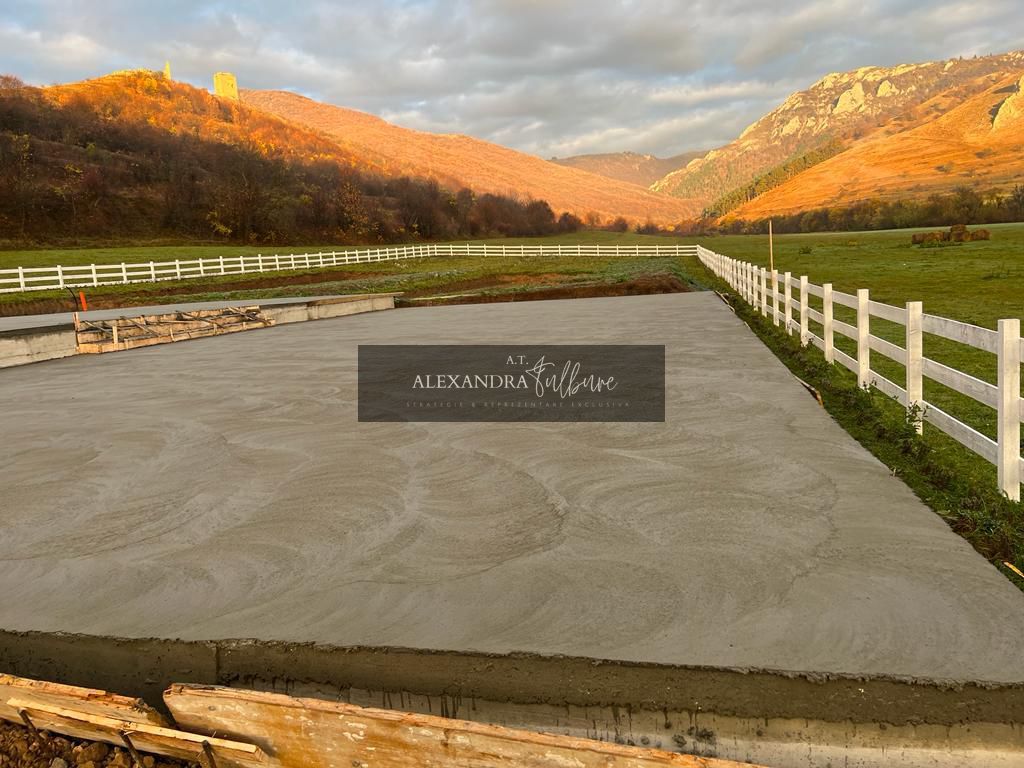 Teren de vanzare – Rimetea, Alba | 9000 mp — fotografia 7