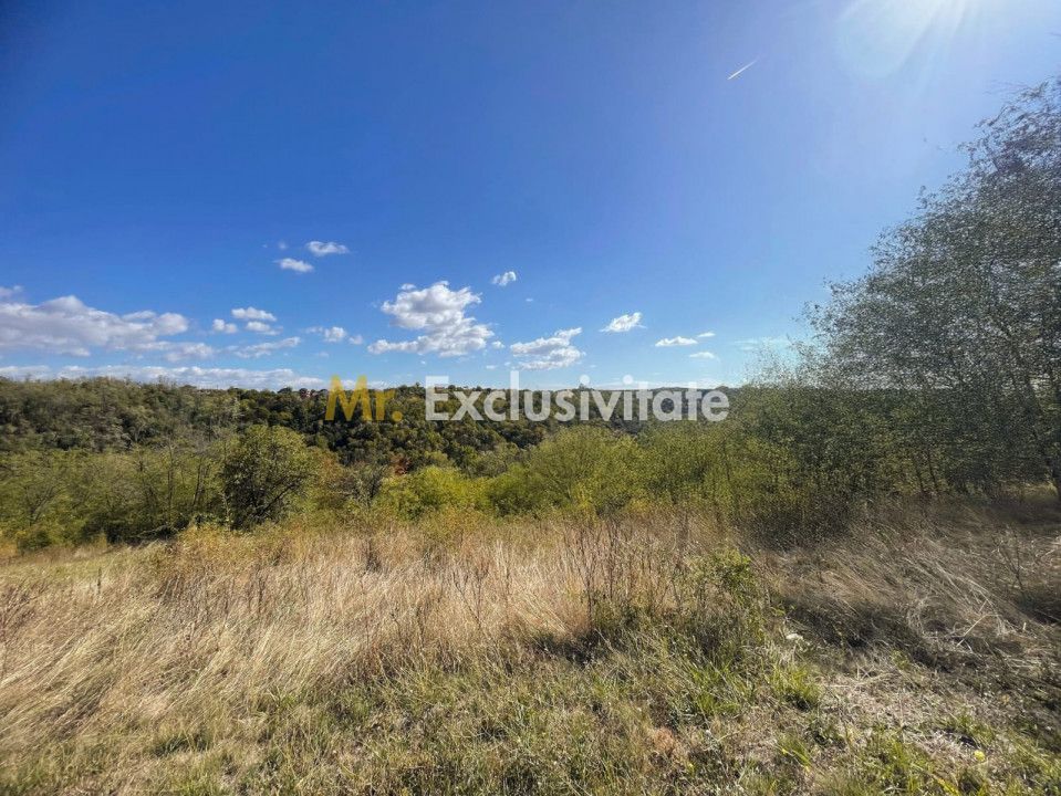 Teren Babana 5000mp intravilan — fotografia 5