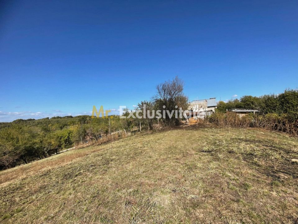 Teren Babana 5000mp intravilan — fotografia 6