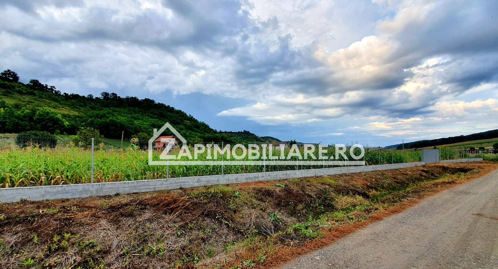 Teren intravilan 25 ari la iesire din Livezeni spre Ivanesti 48 eu /mp