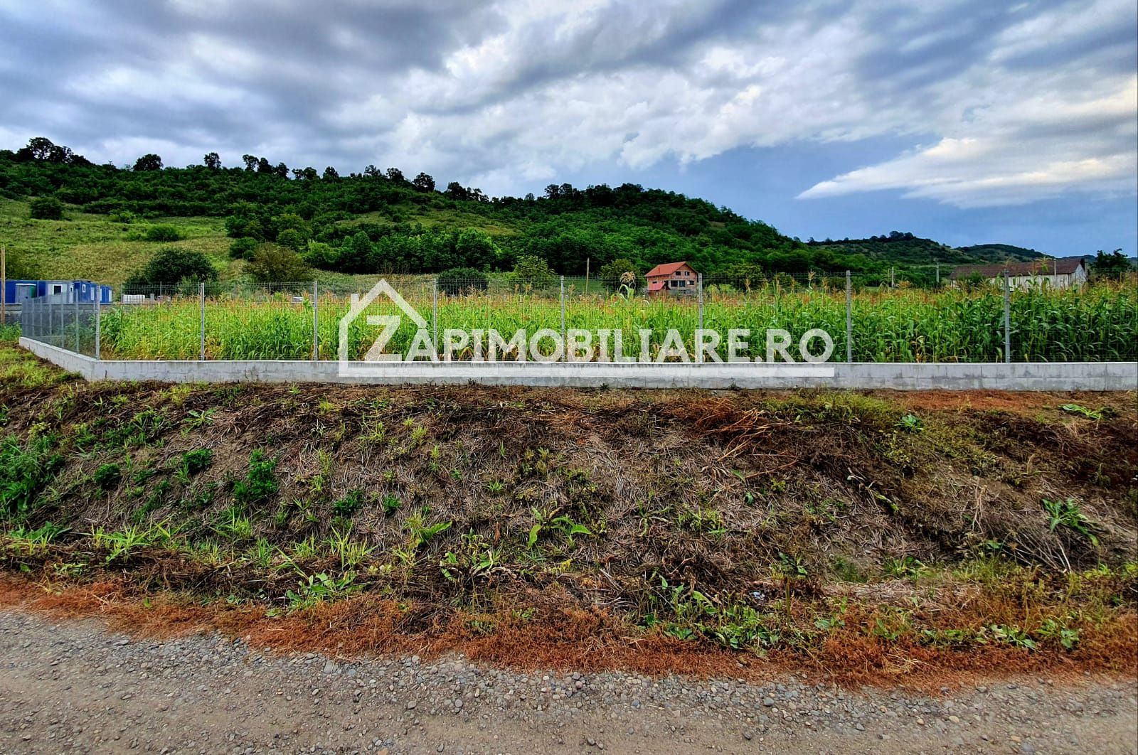 Teren intravilan 25 ari la iesire din Livezeni spre Ivanesti 48 eu /mp — fotografia 3