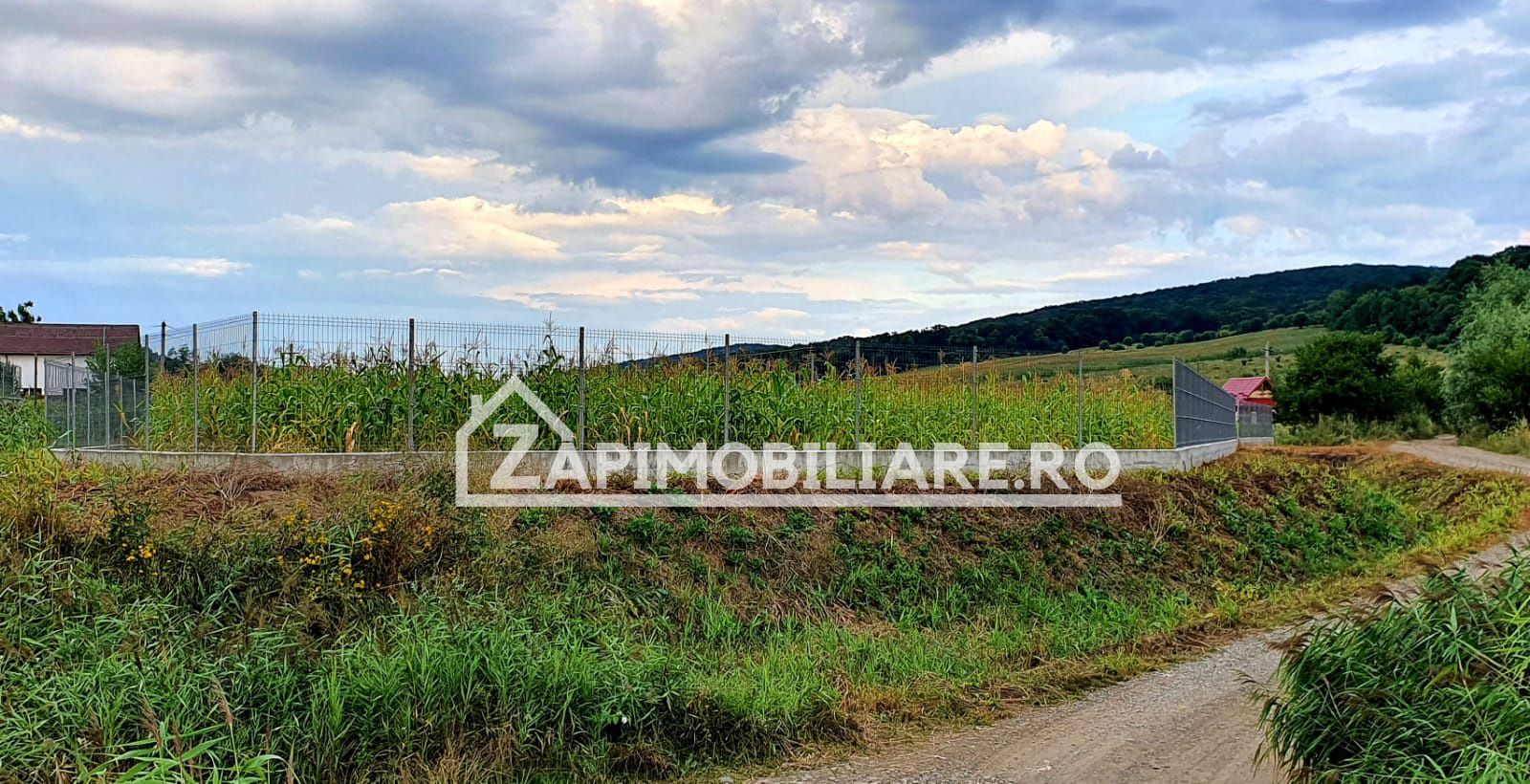 Teren intravilan 25 ari la iesire din Livezeni spre Ivanesti 48 eu /mp — fotografia 4