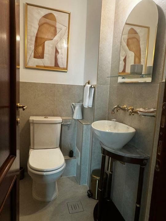 BRASADAS închiriază Penthouse cu terasa la Parcul Circului. — fotografia 5
