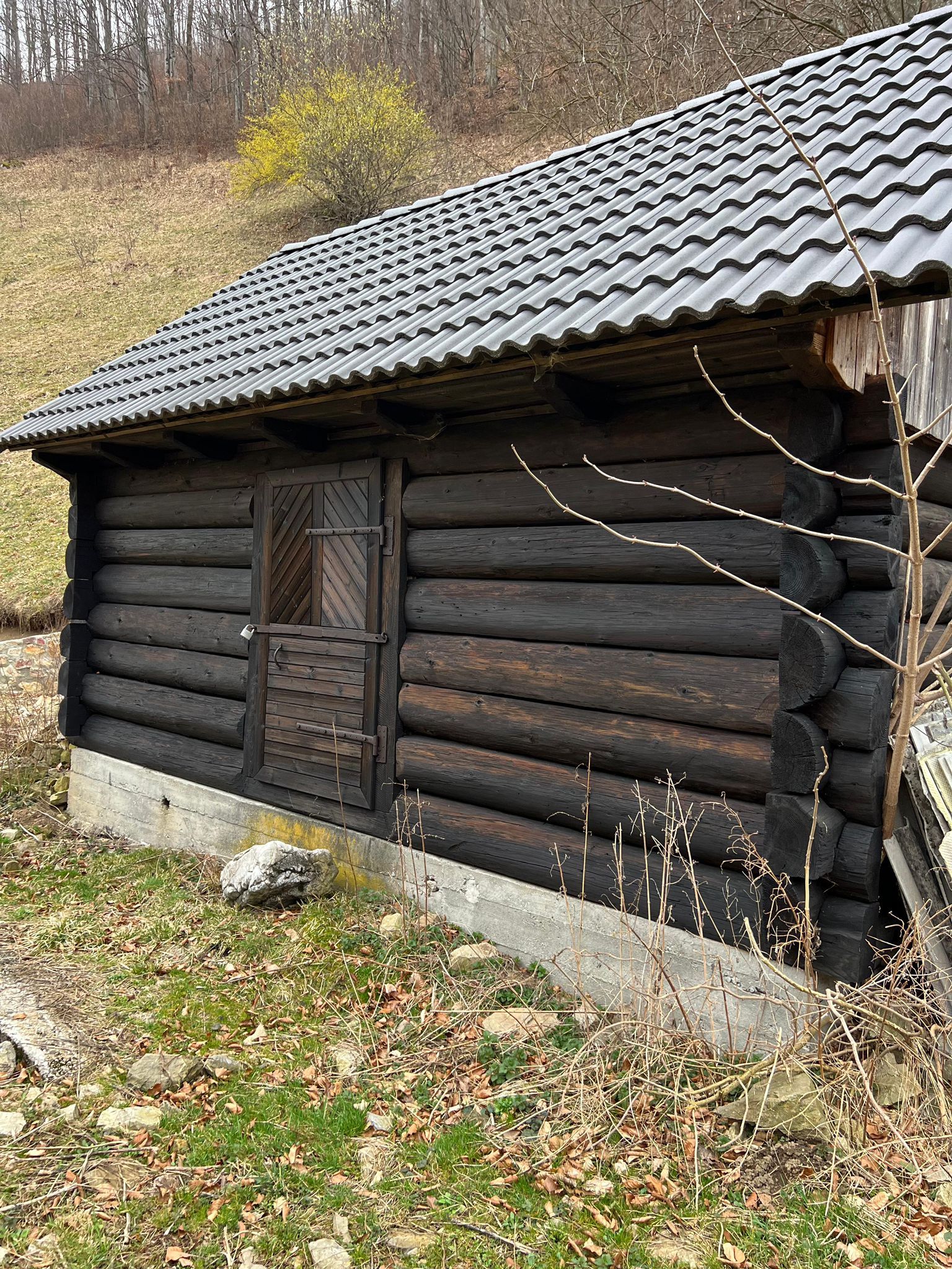 Teren intravilan 1.28ha Remeti–perfect pensiune/cabane, zonă turistica — fotografia 3