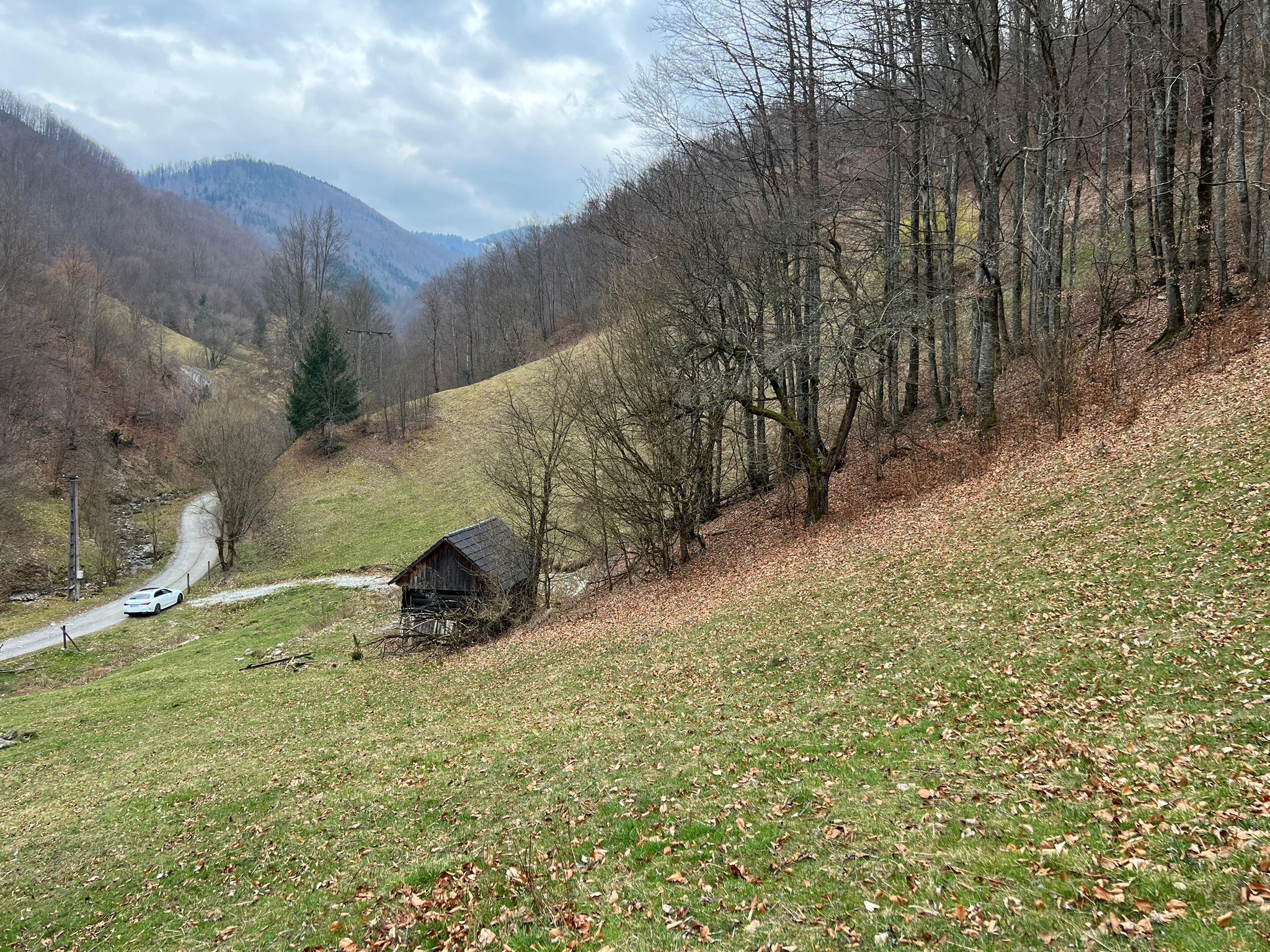 Teren intravilan 1.28ha Remeti–perfect pensiune/cabane, zonă turistica — fotografia 4