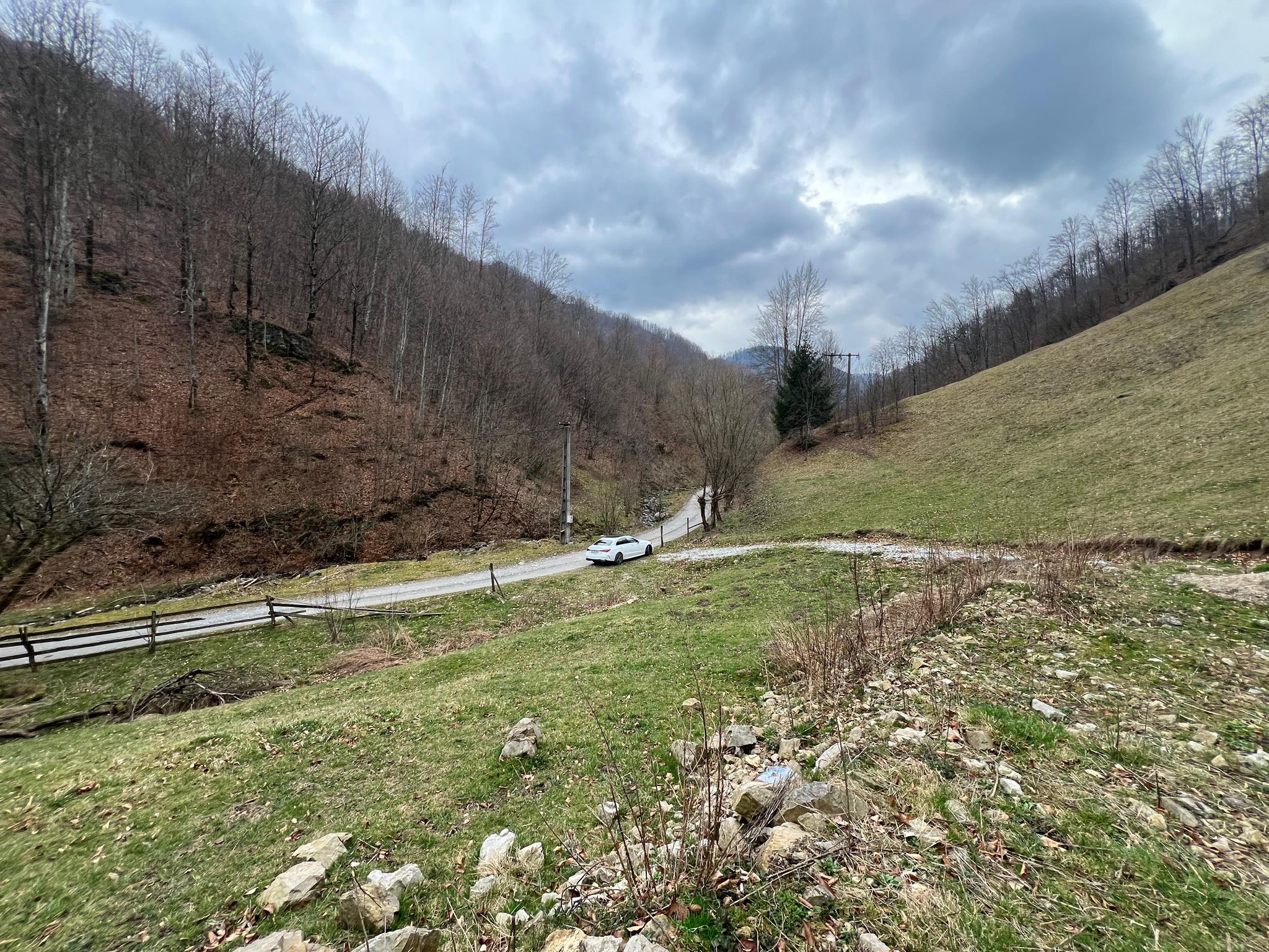 Teren intravilan 1.28ha Remeti–perfect pensiune/cabane, zonă turistica — fotografia 5