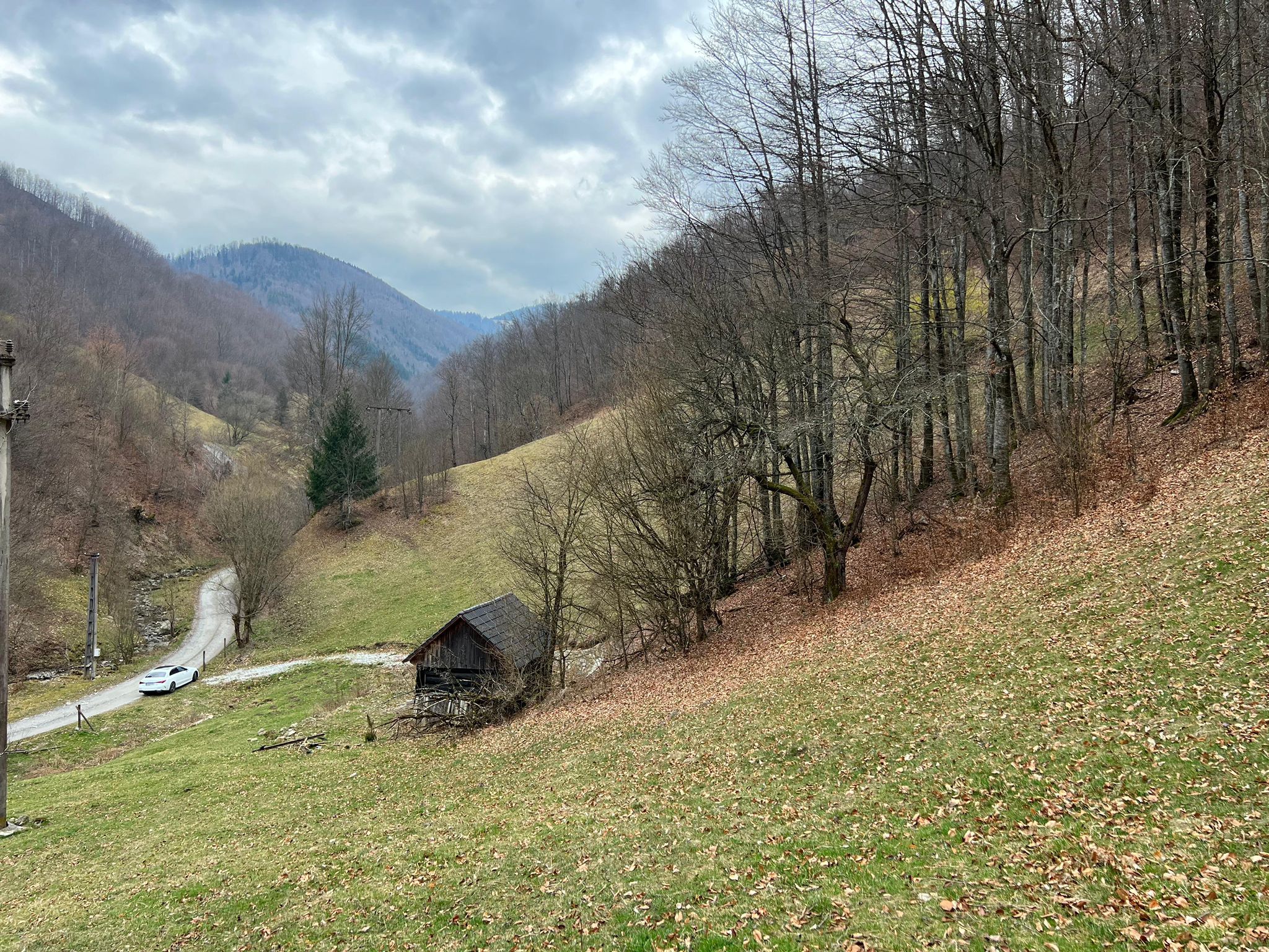 Teren intravilan 1.28ha Remeti–perfect pensiune/cabane, zonă turistica — fotografia 6