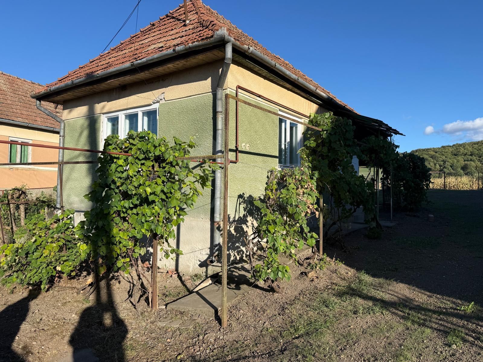Vând casă in Ernei de 66 mp si teren in suprafață de 2530 mp — fotografia 3